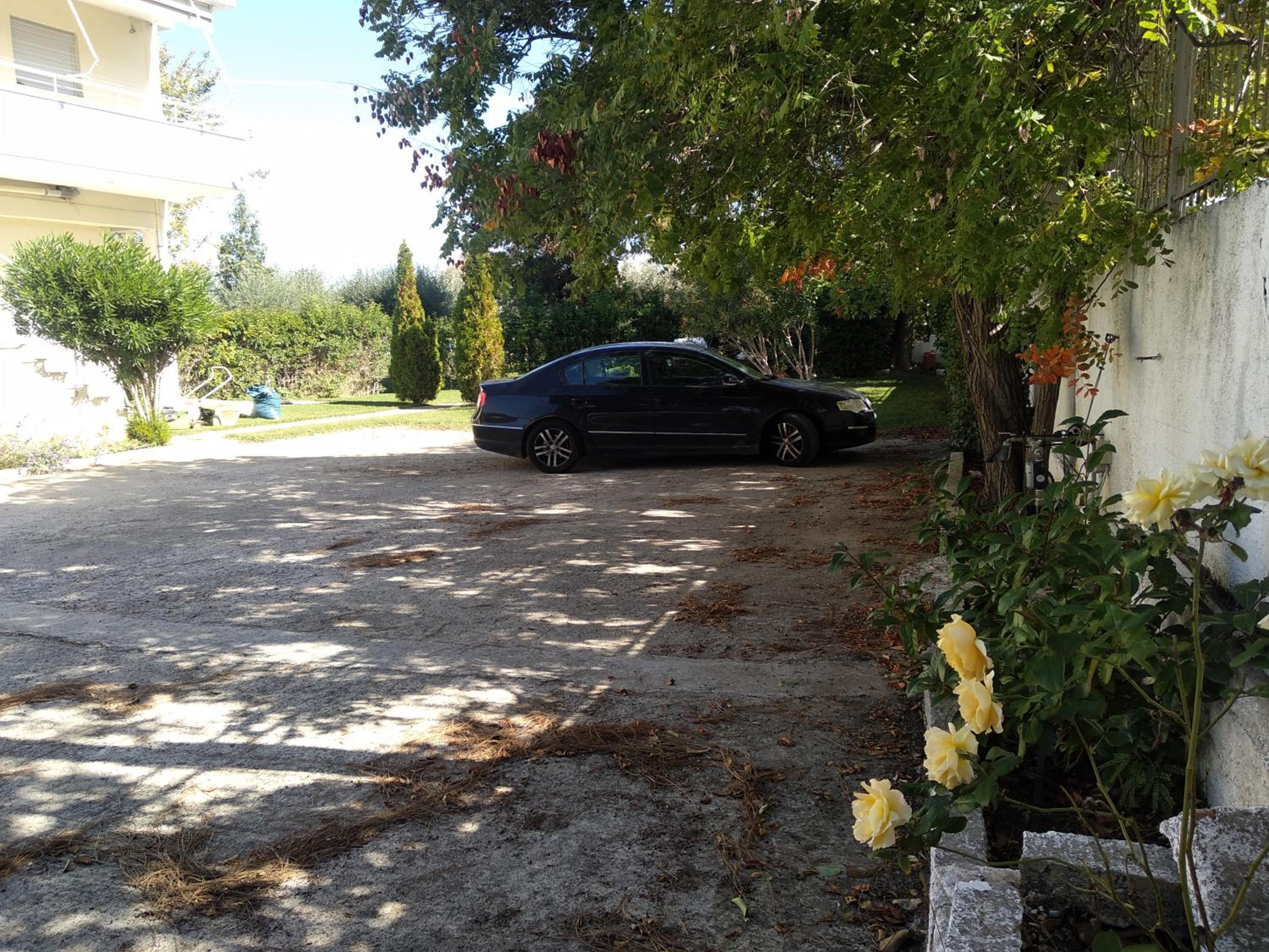Photo 36