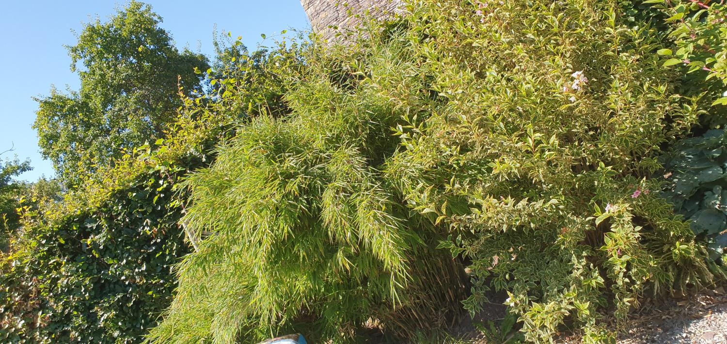 O Près de la Lienne, maison de campagne de charme, accord parfait entre confort et authenticité