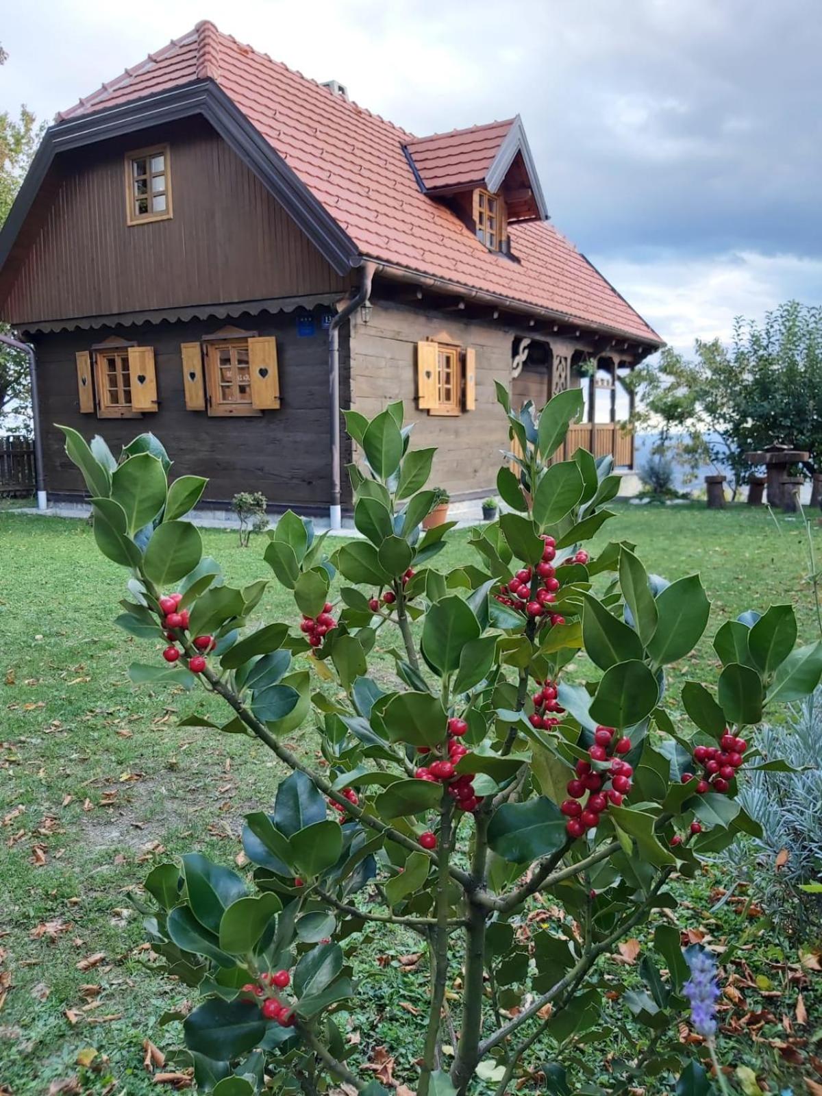 Photo 37