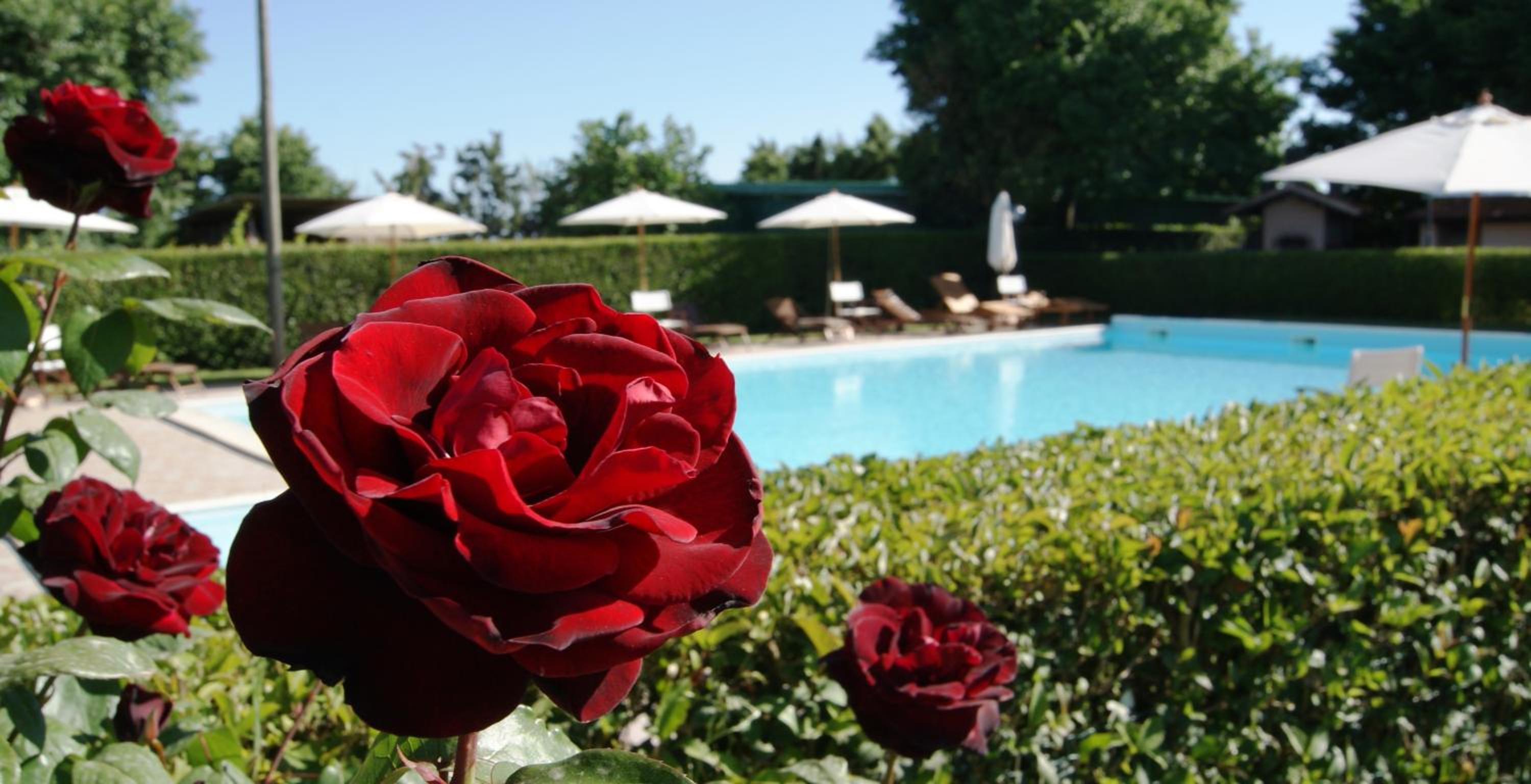 Casa Vacanze Ribocchi