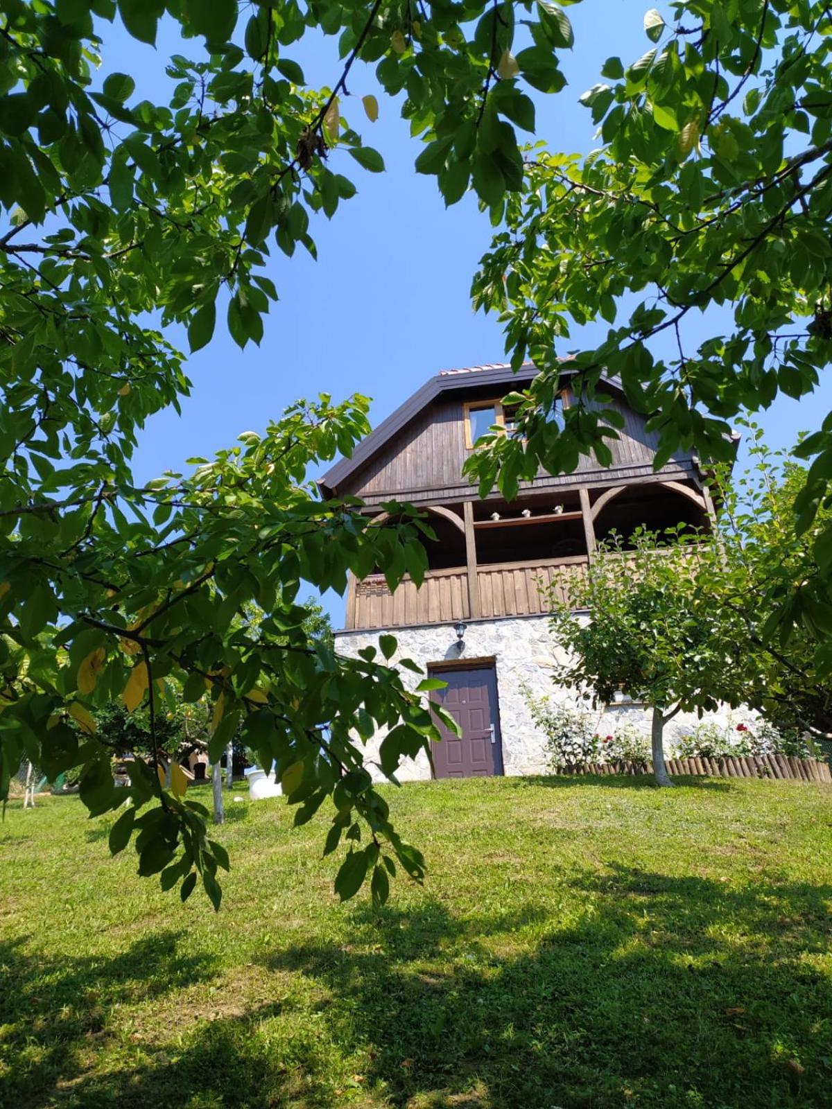 Photo 43