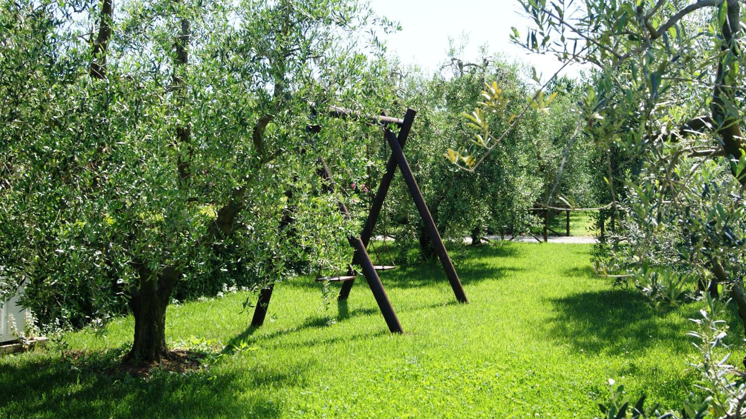 Casa Vacanze Ribocchi