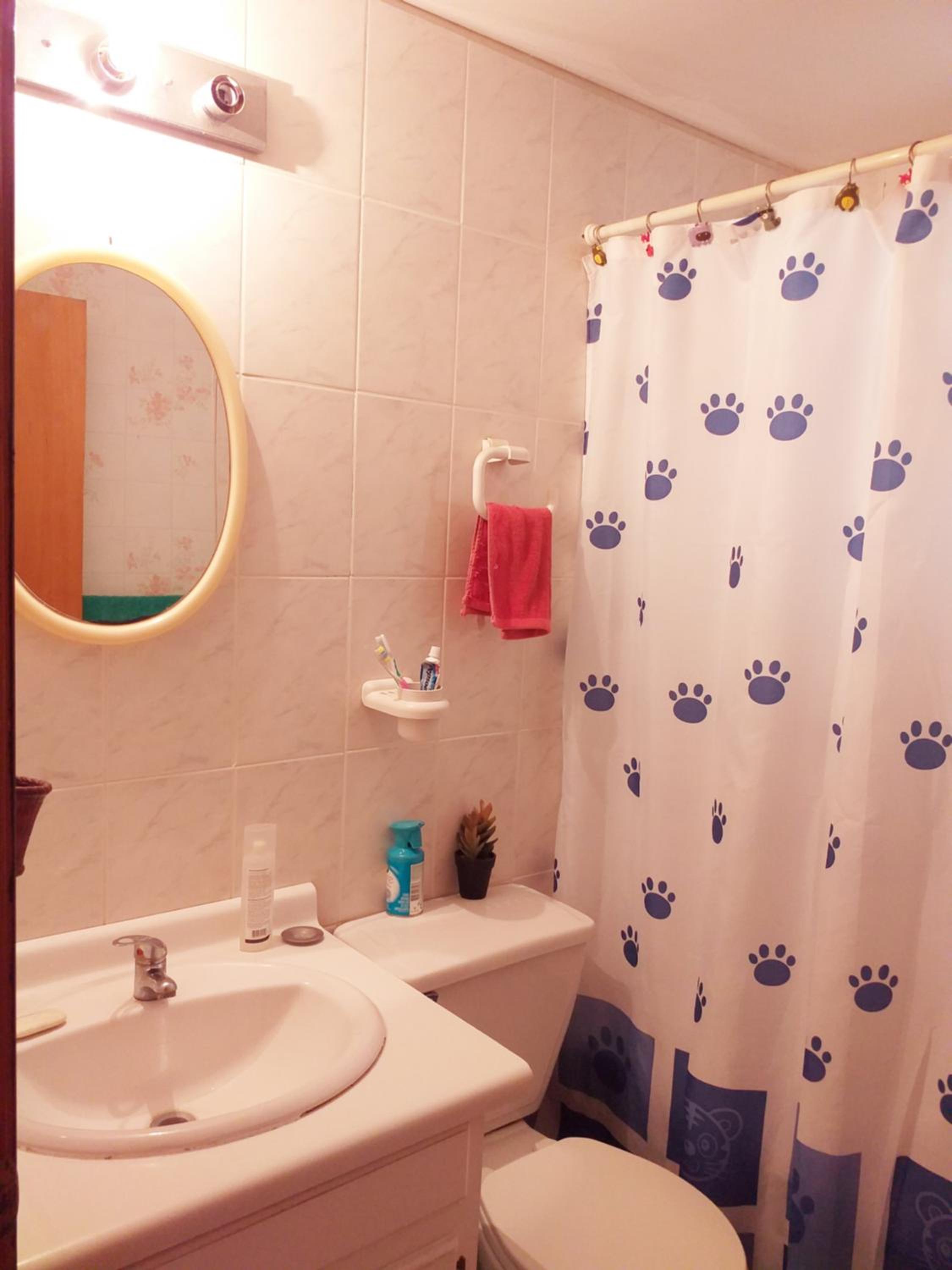 Hostel Puntilla House