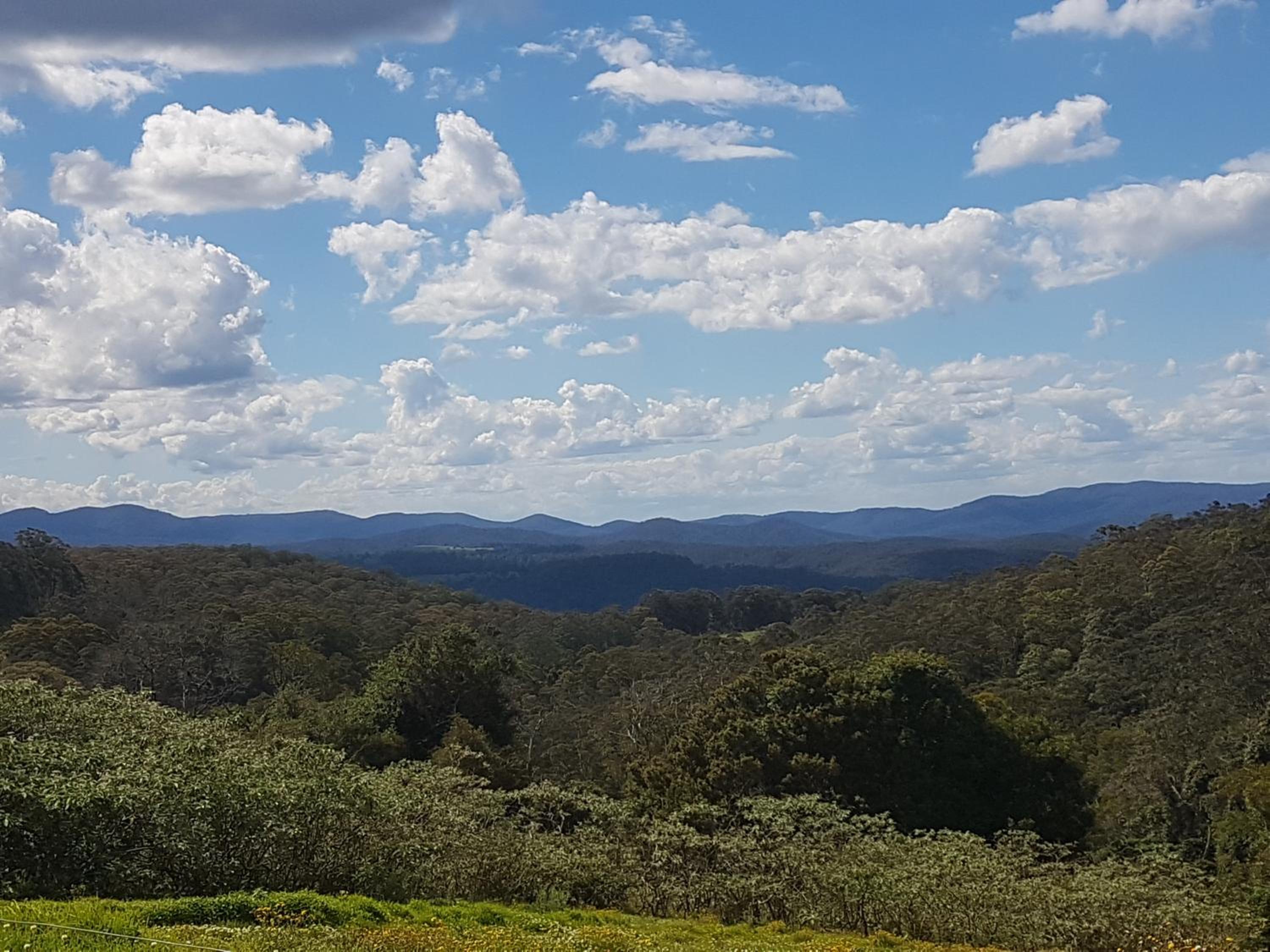 Dorrigo Bush Pepper Retreat