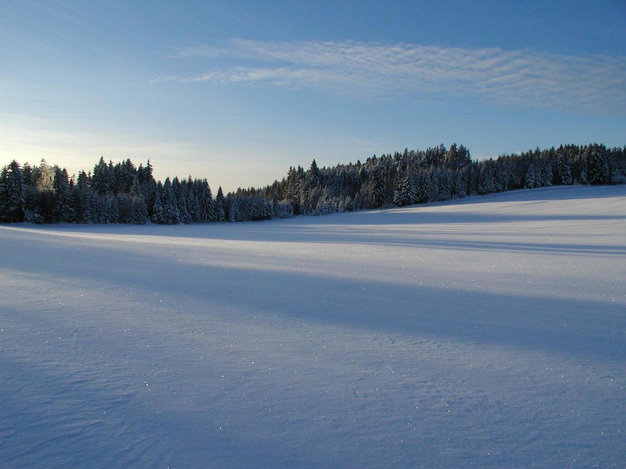 Prinzenhof