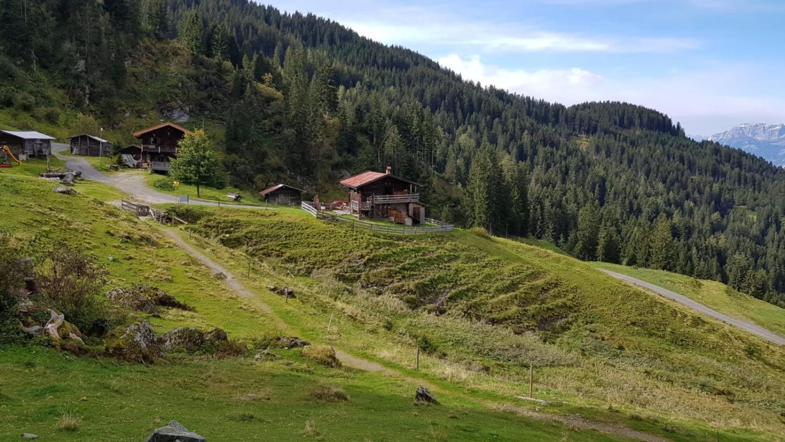 Almhütte Andrea