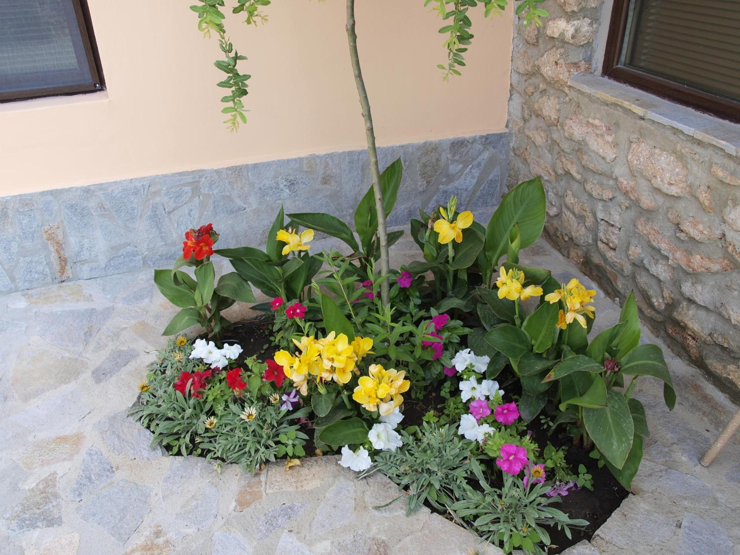 Dobrevata House