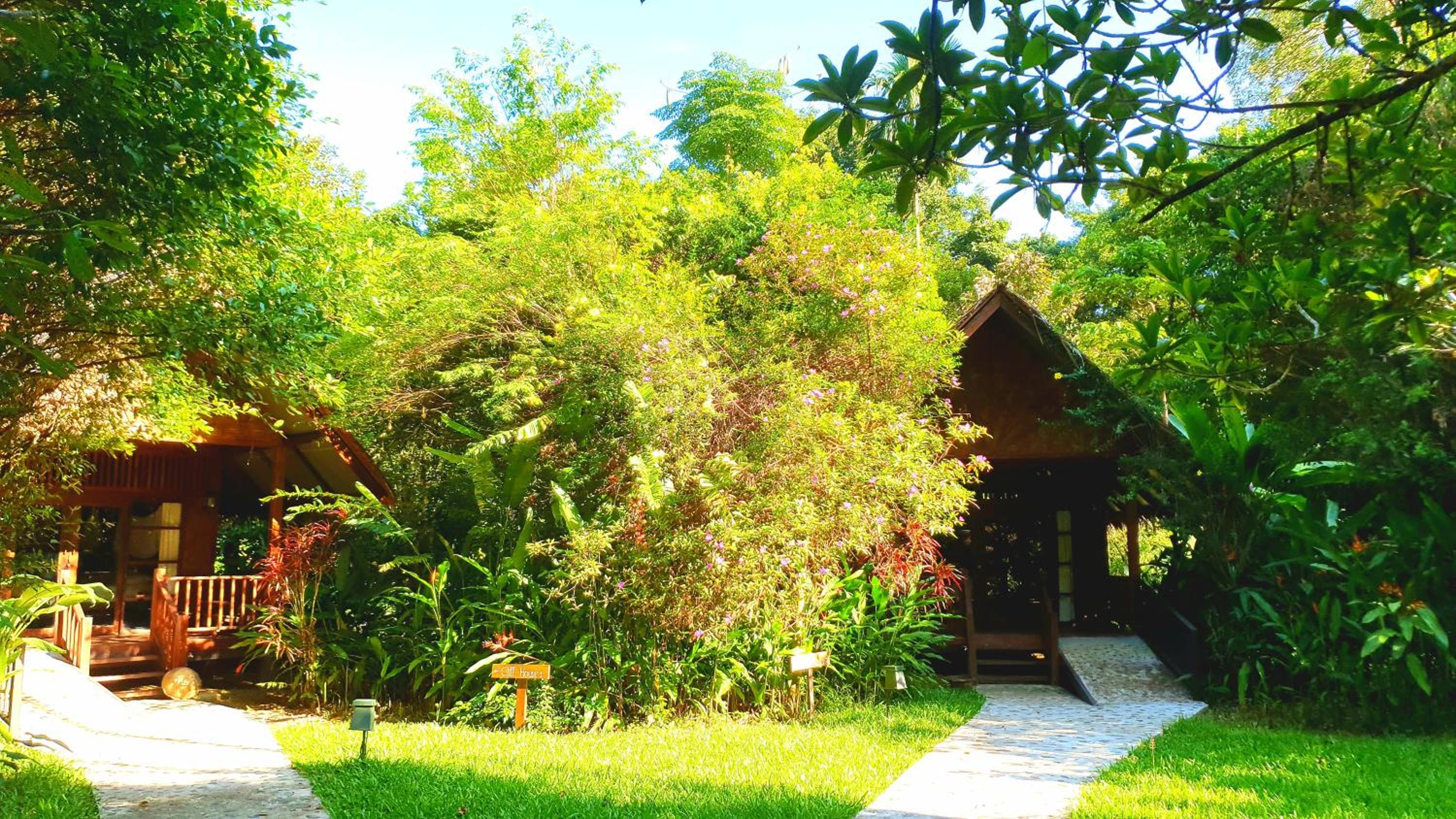 Our Jungle House