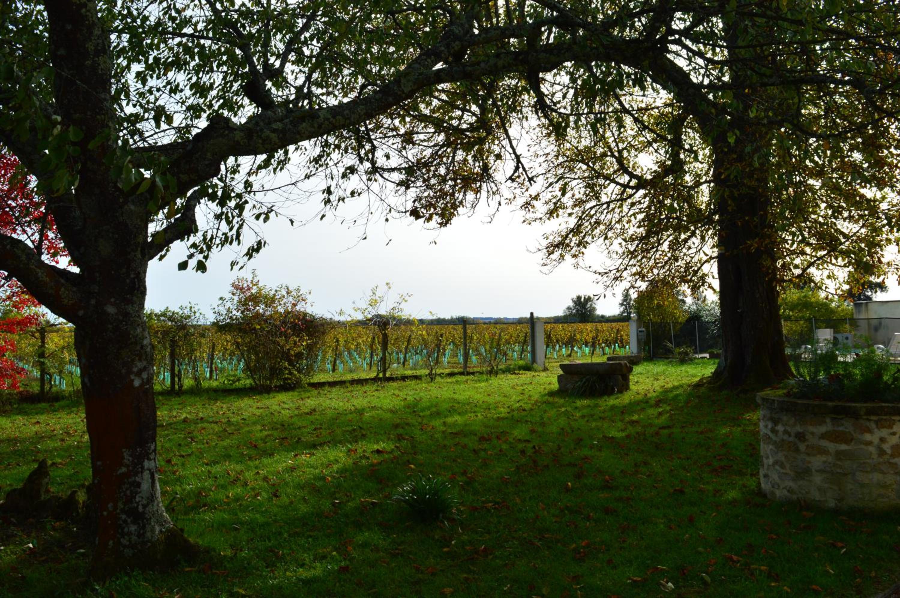 Le Jardin dans les vignes view 5