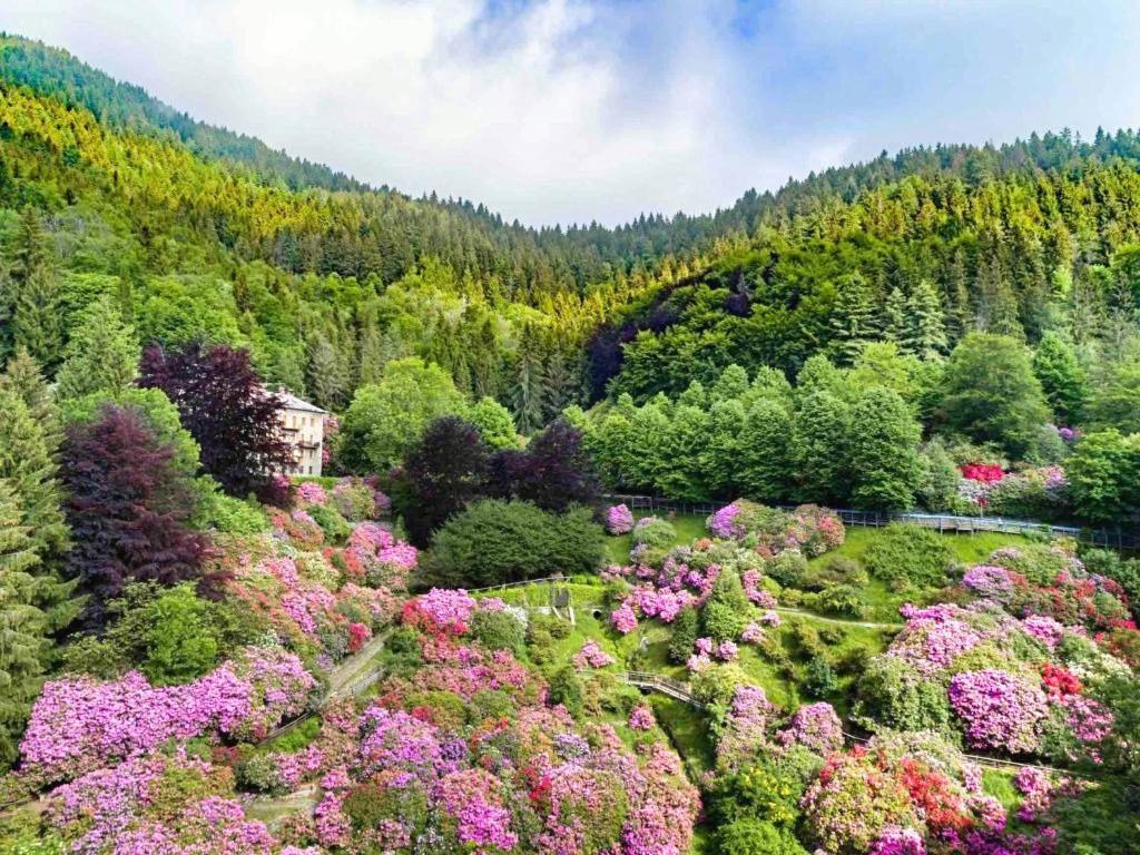 Appartamento Conca dei Rododendri view 5
