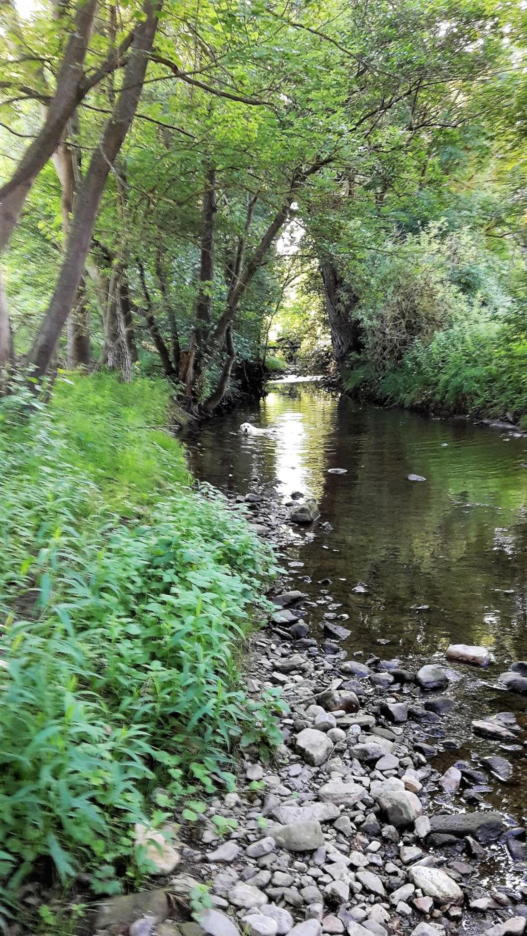 Photo 8