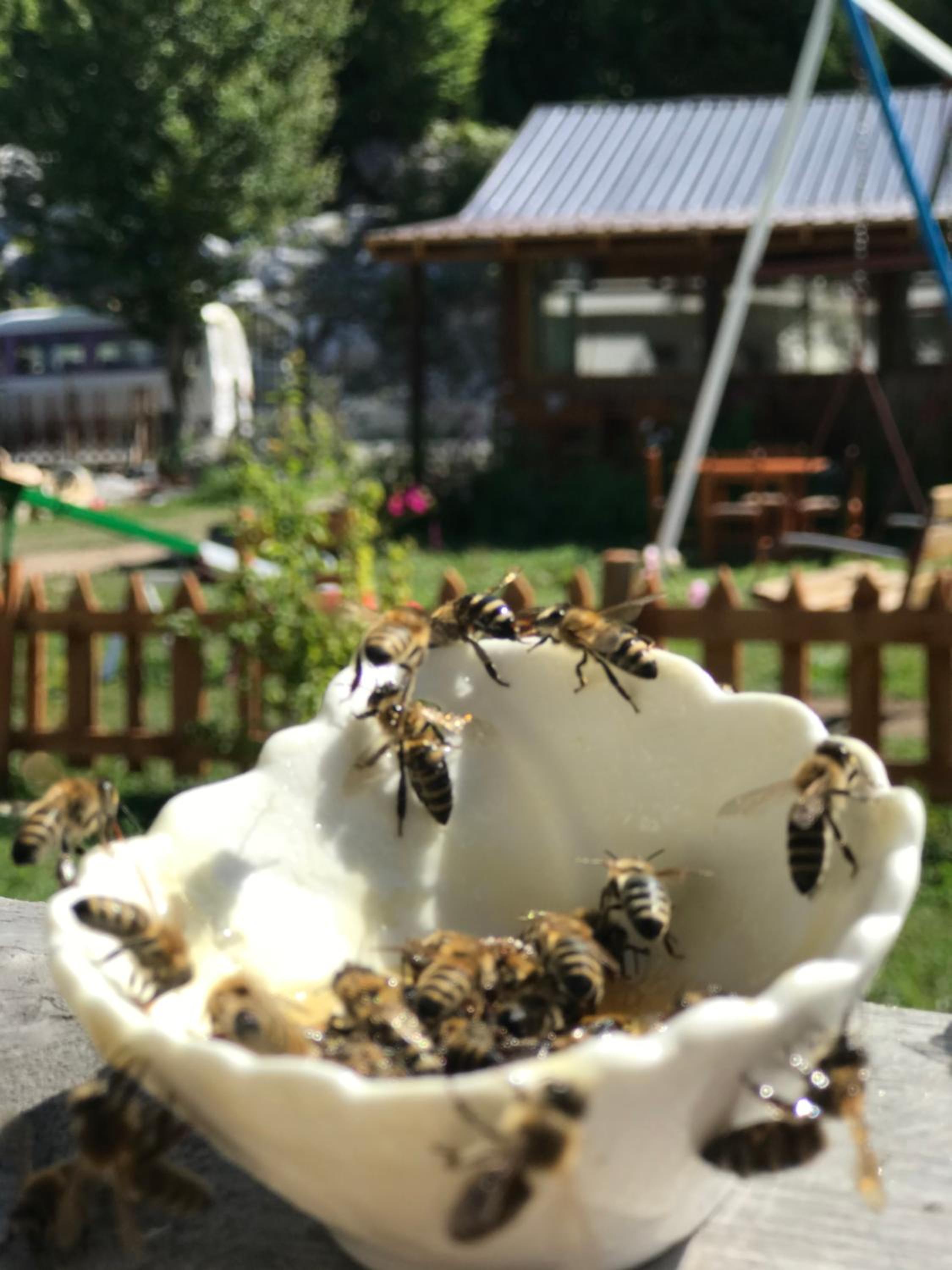 BUJTINA IZET SELIMAj