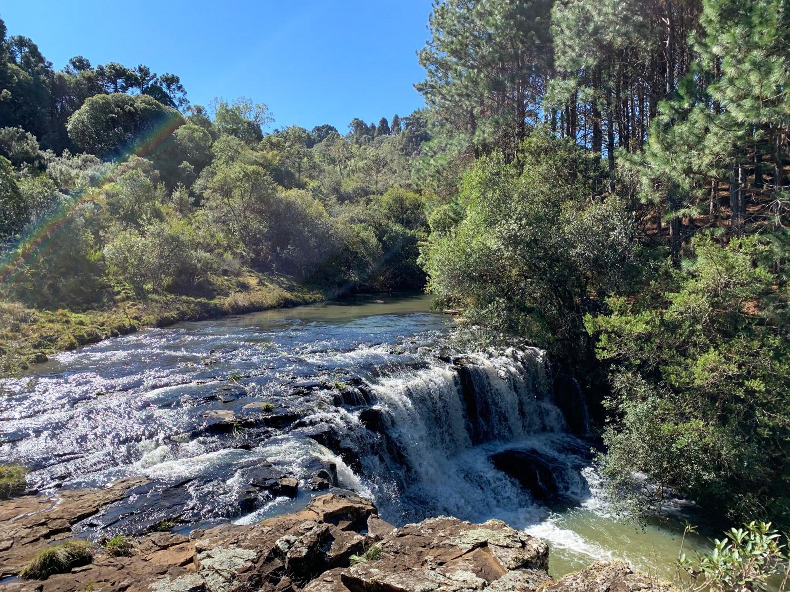 Sítio Rota das Araucárias