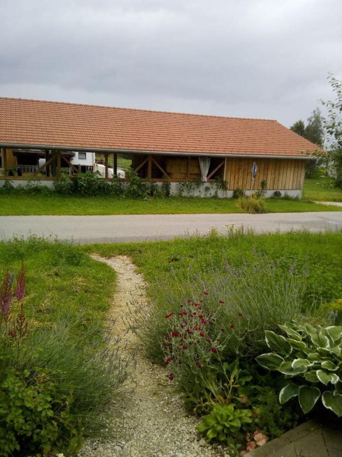Ferienwohnung Fischerhof