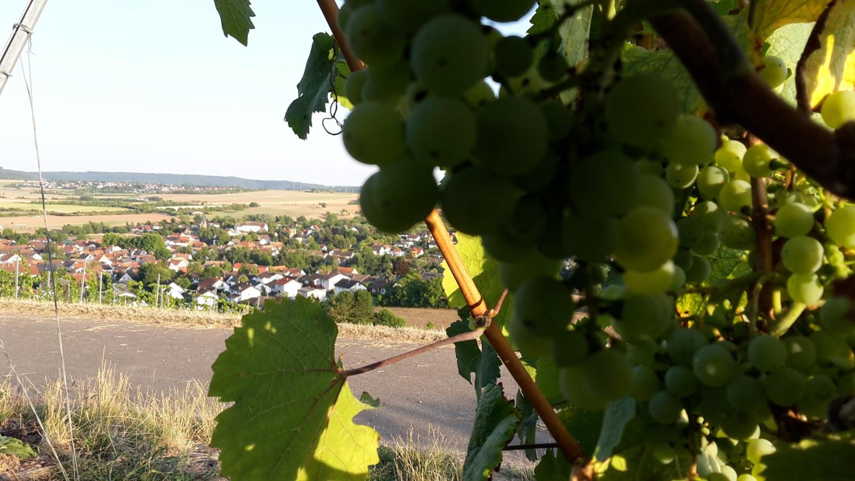 Haus mit Seele im Nahetal view 5