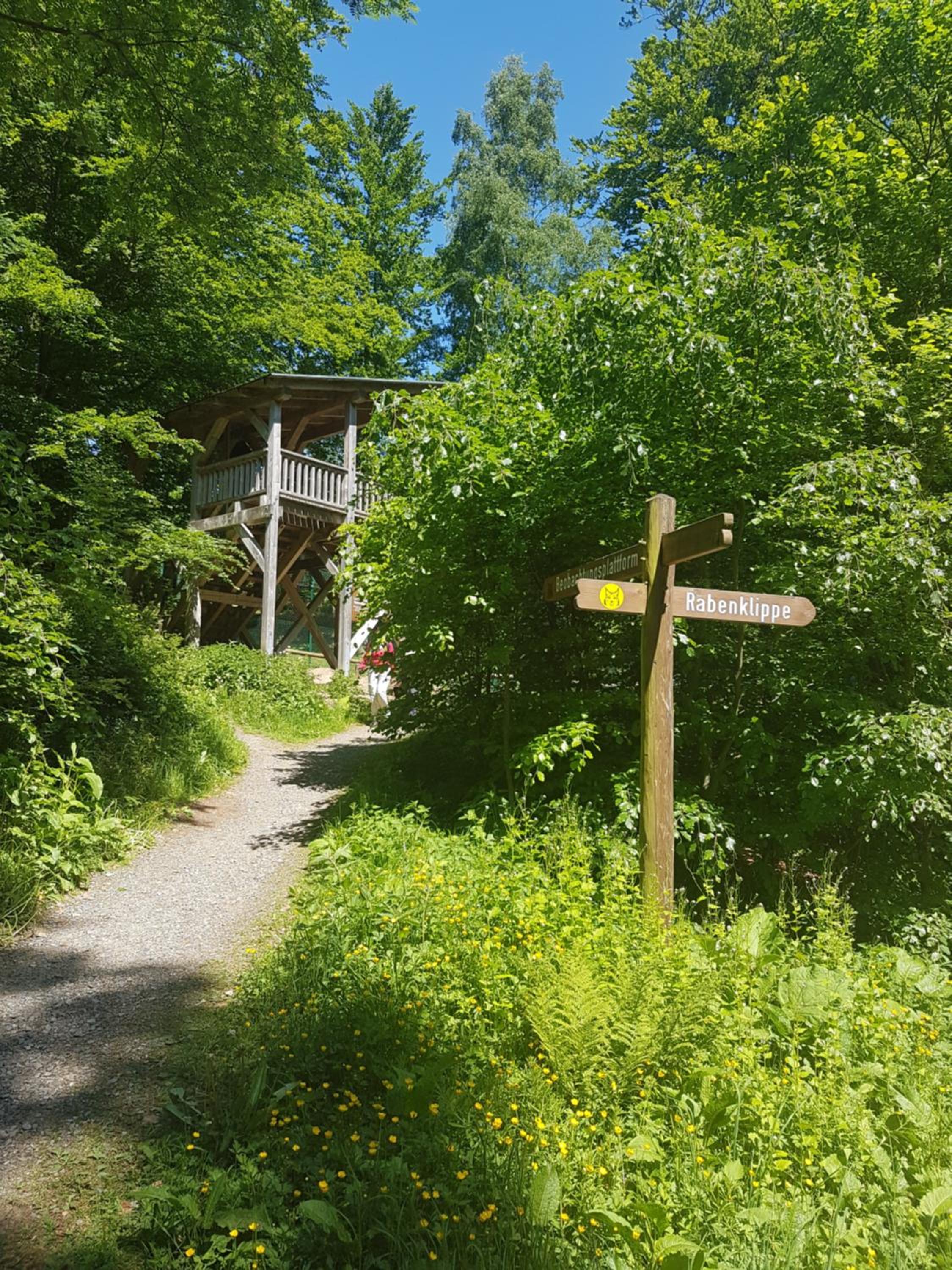 Photo 48