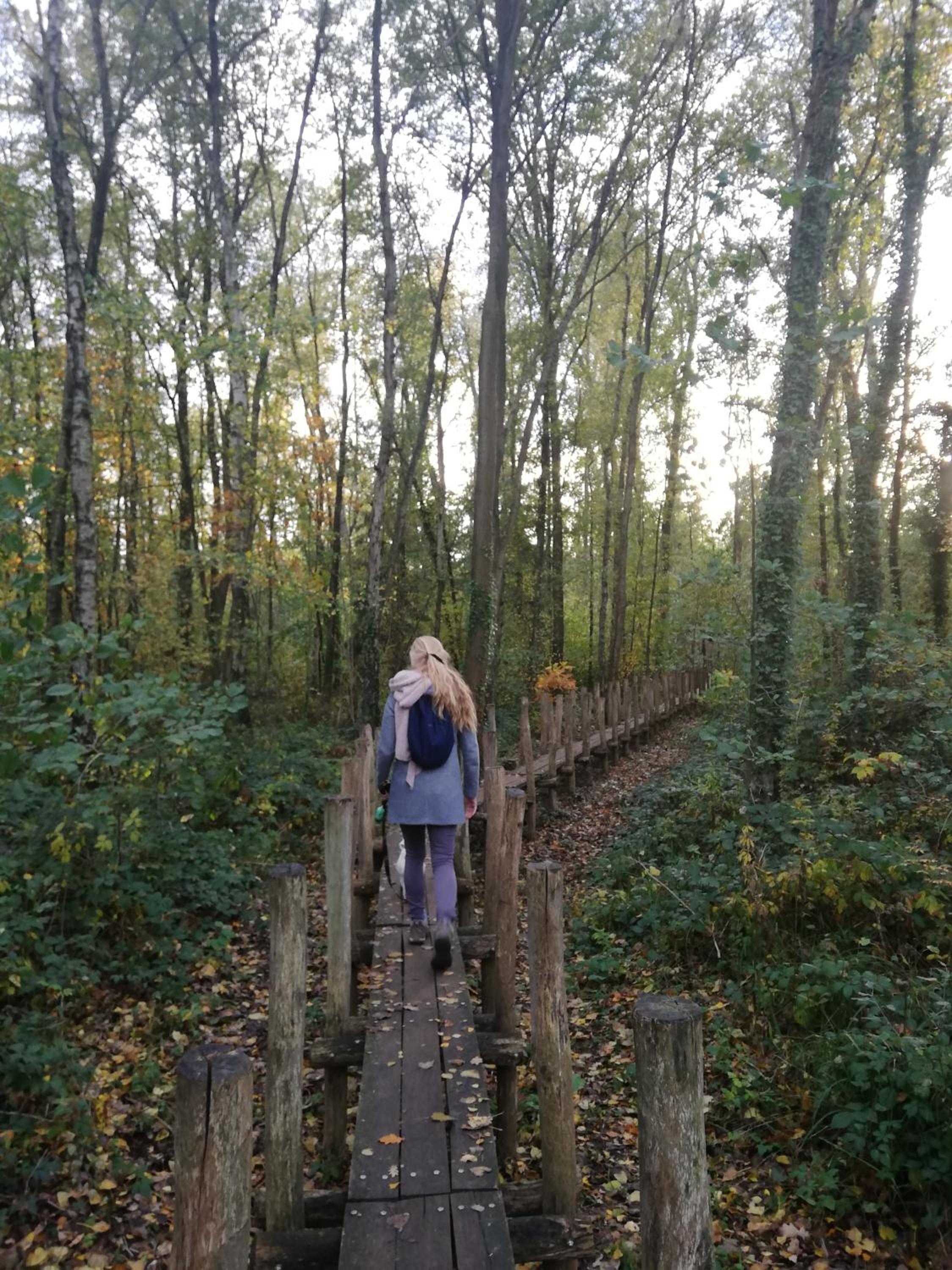 B&B De Stuifduinen