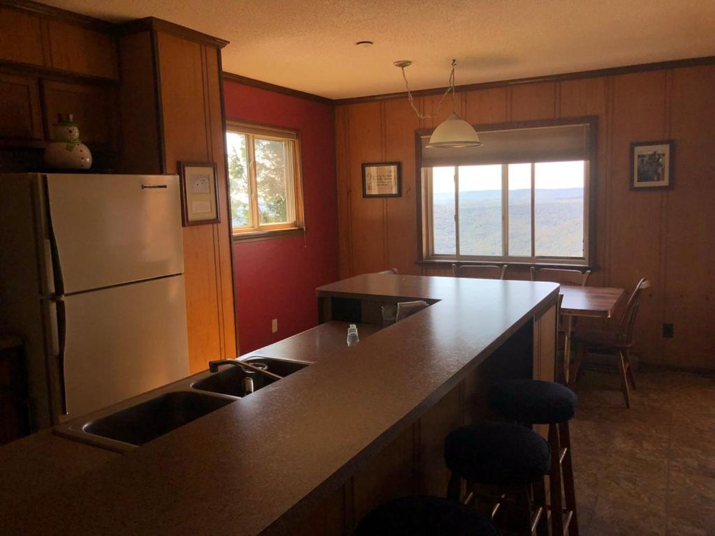 301 D Summit Dr. , Snowshoe Mountains, WV 26209 view 2