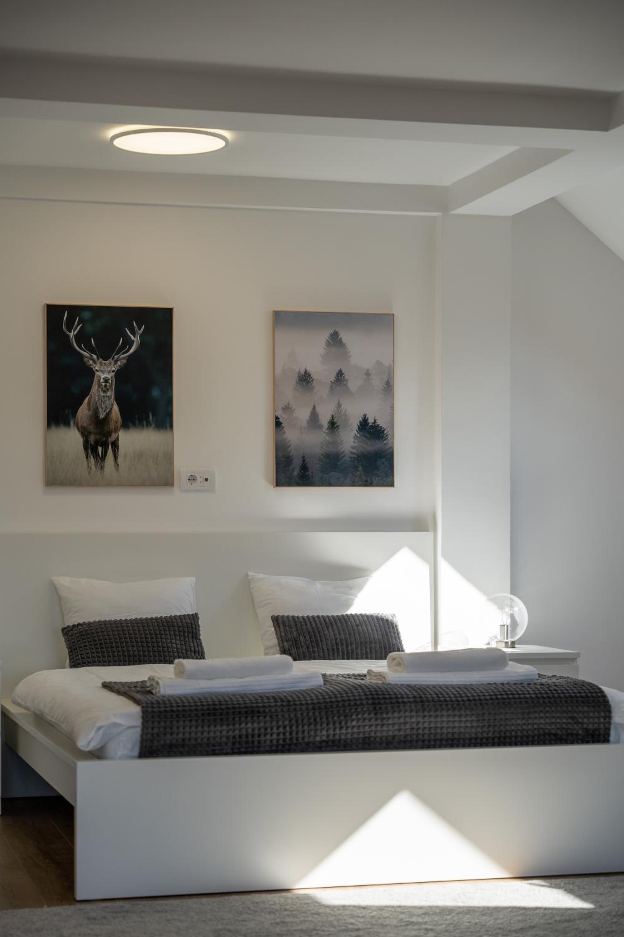 Apartment Grey Mountain view 4