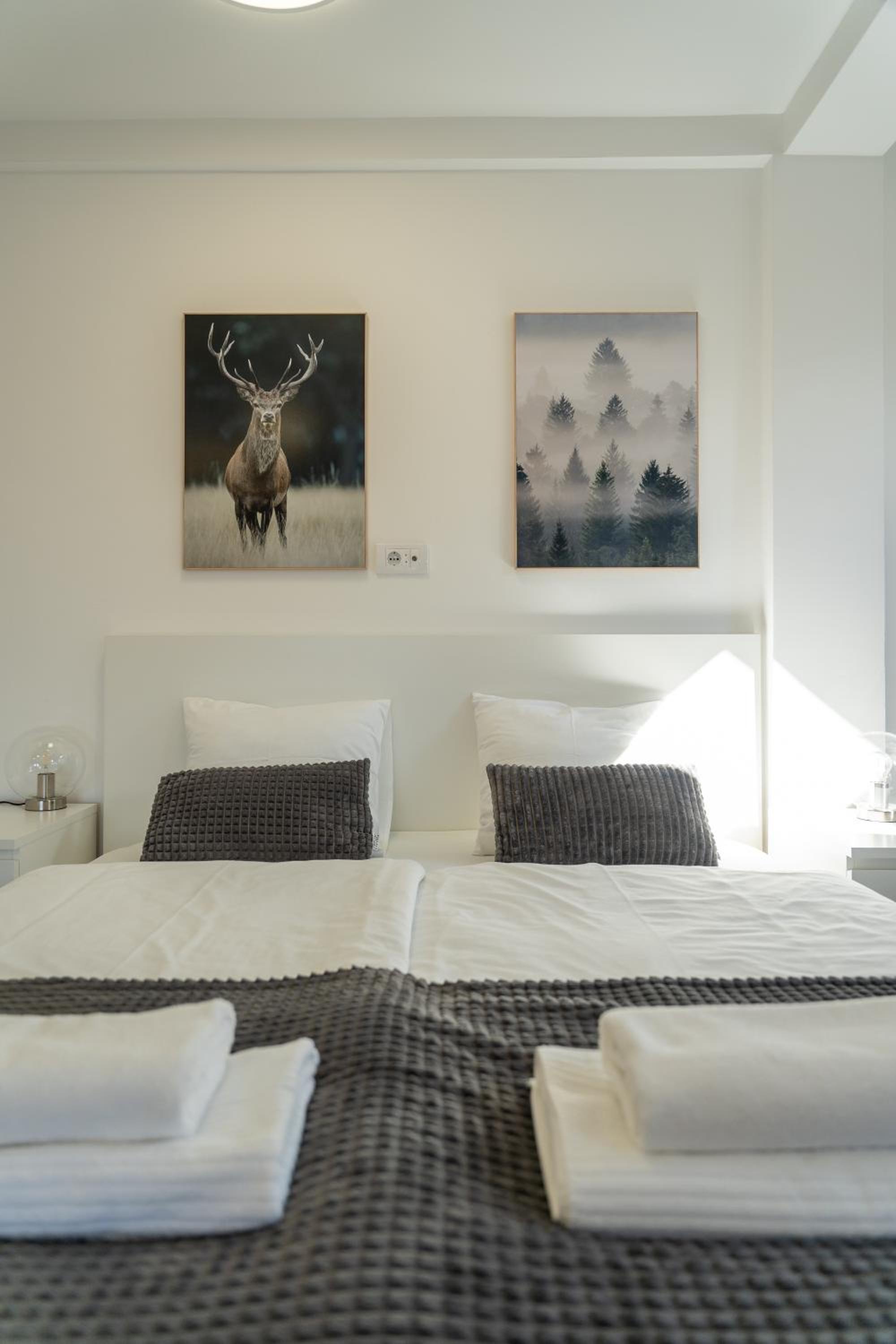 Apartment Grey Mountain view 3