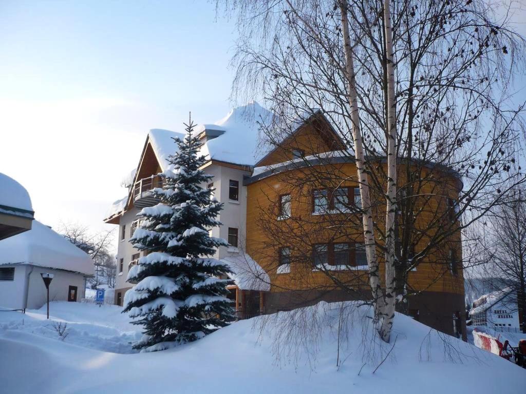 Apartmán Modrá hvězda