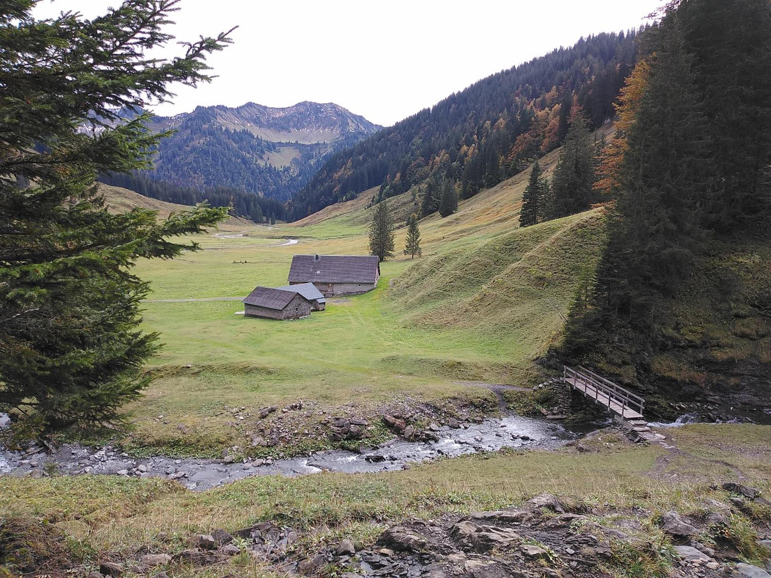 Tolles Einfamilienhaus nahe dem Bodensee