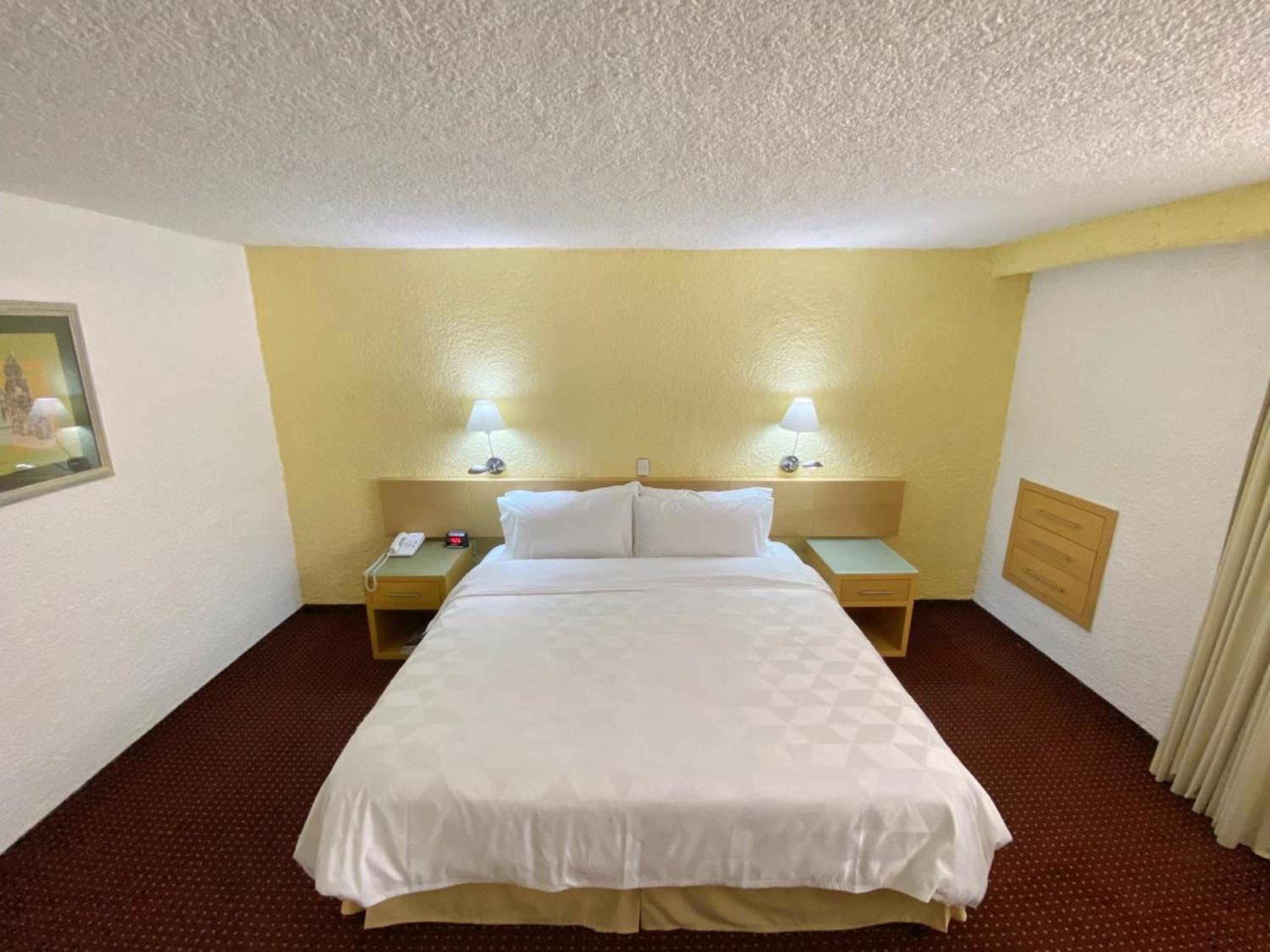 Holiday Inn Morelia, an IHG Hotel - Property Image 2