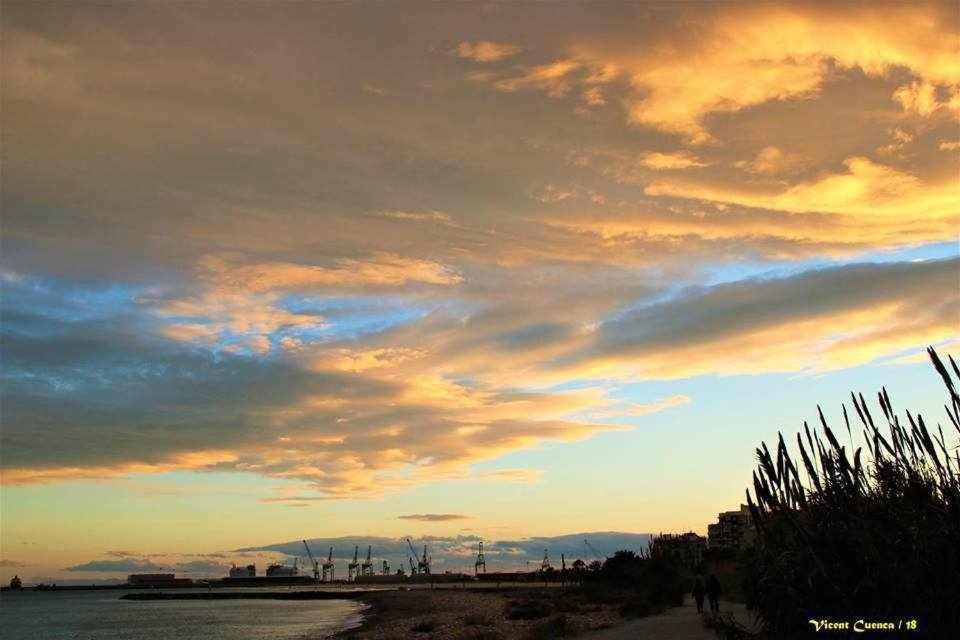 Mediterrania Pinazo