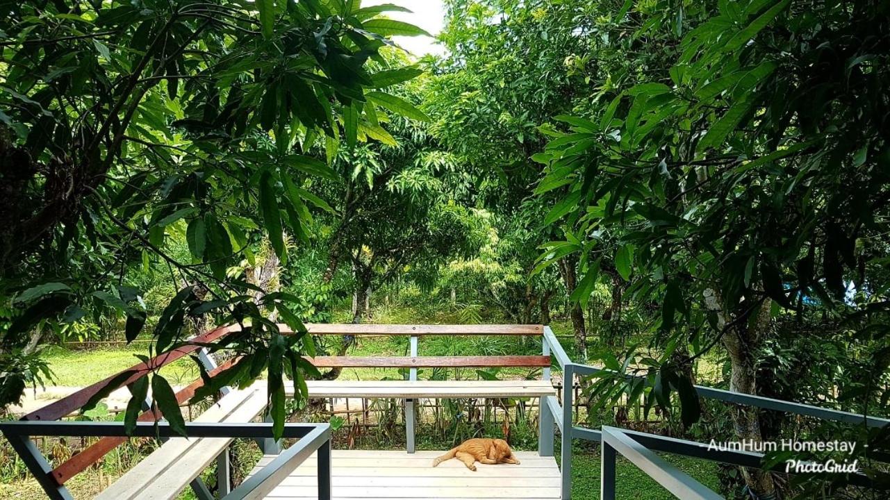 Aum Hum Homestay