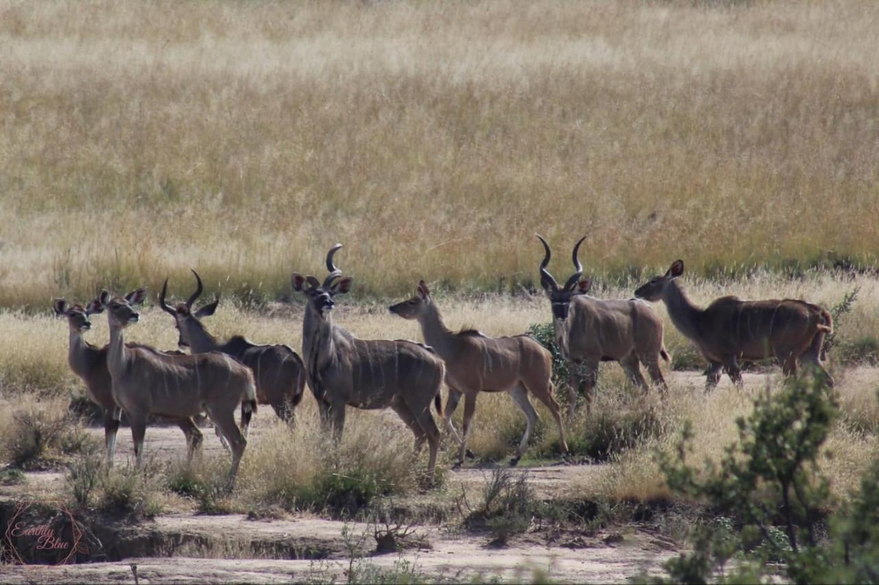 Letsatsi Game Lodge