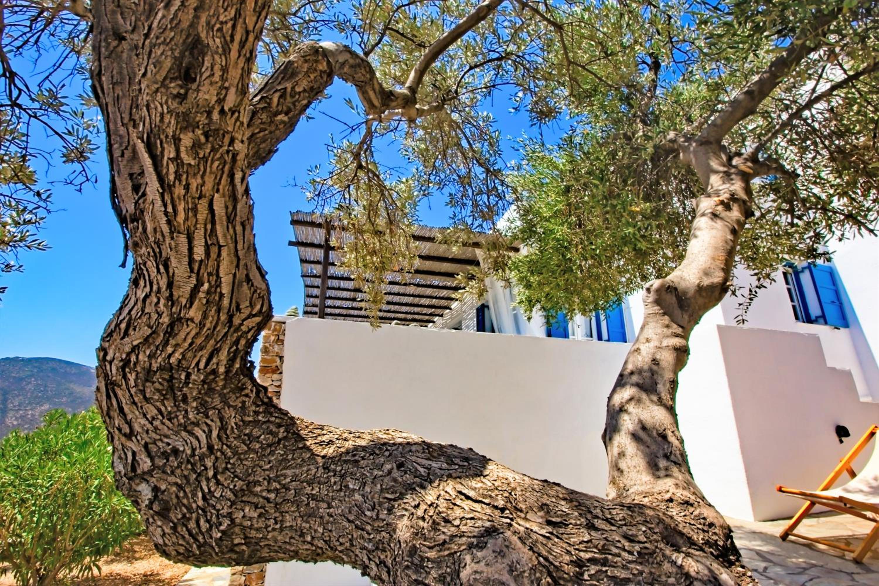 Sifnos Residence