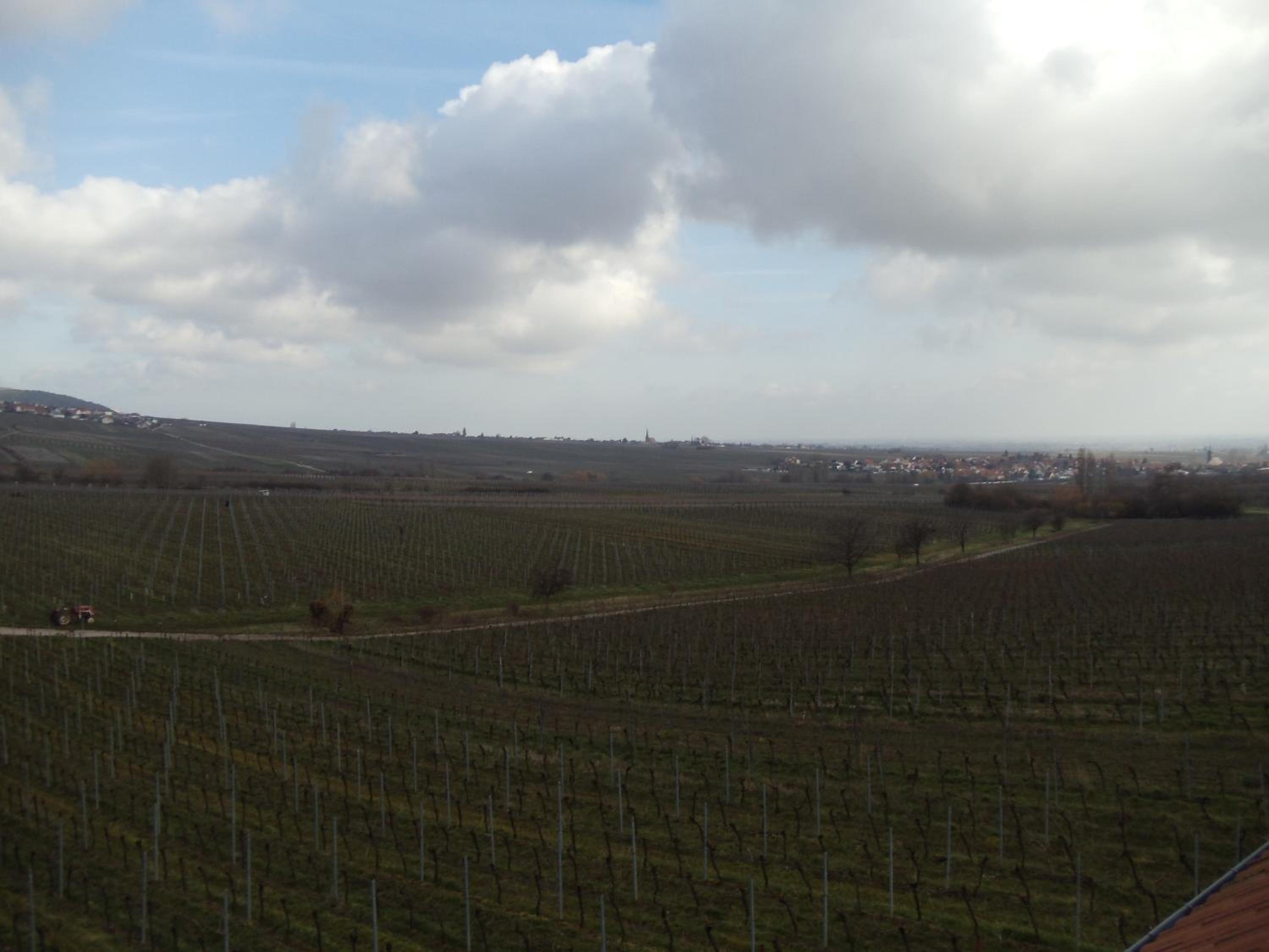 Weinhotel Kienle