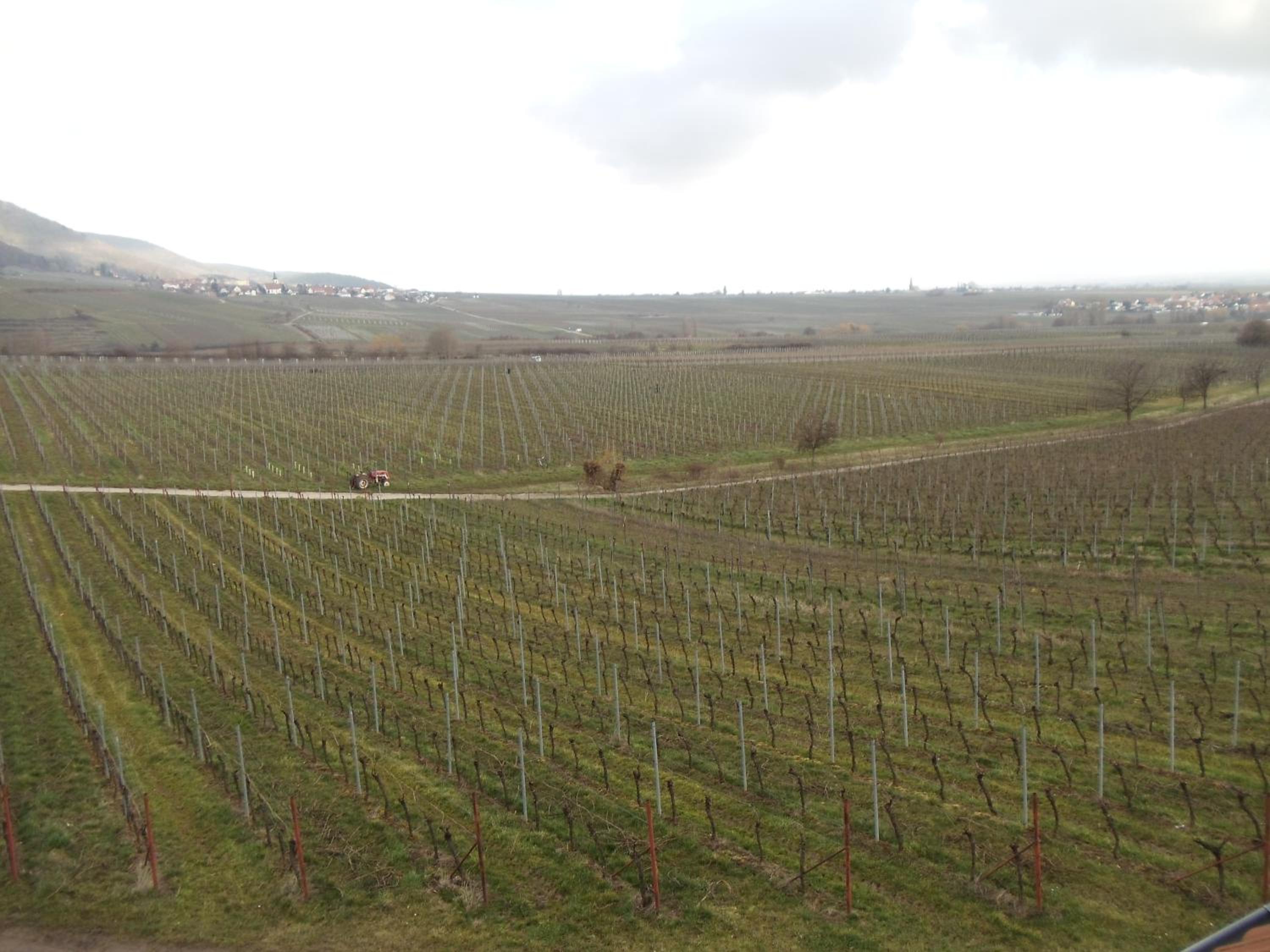 Weinhotel Kienle