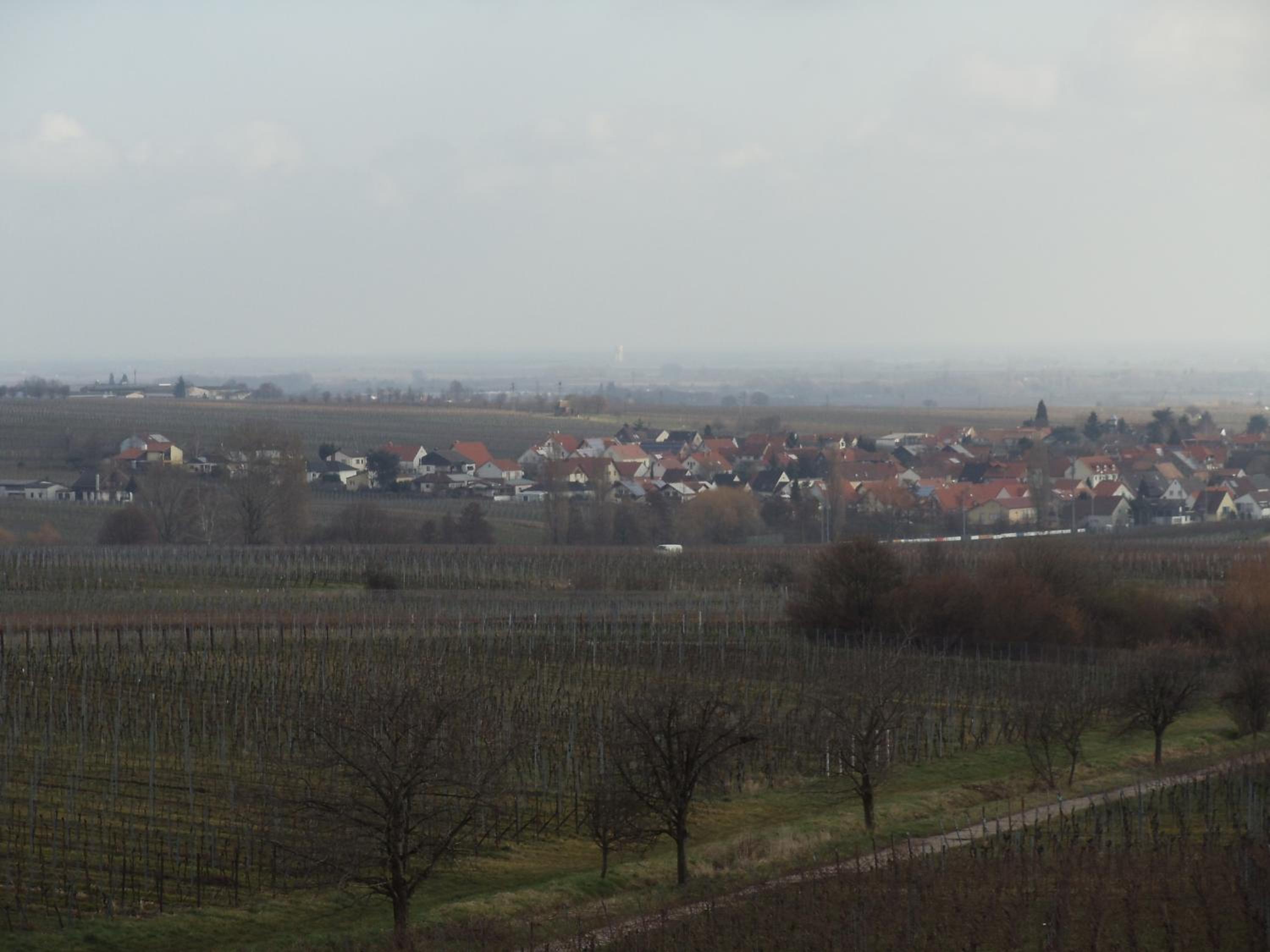Weinhotel Kienle