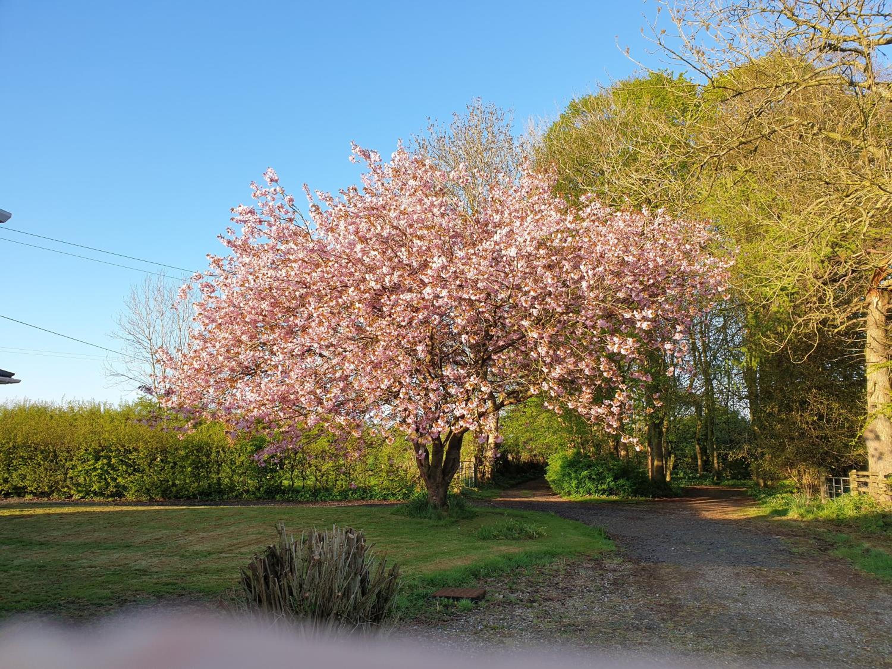Photo 40