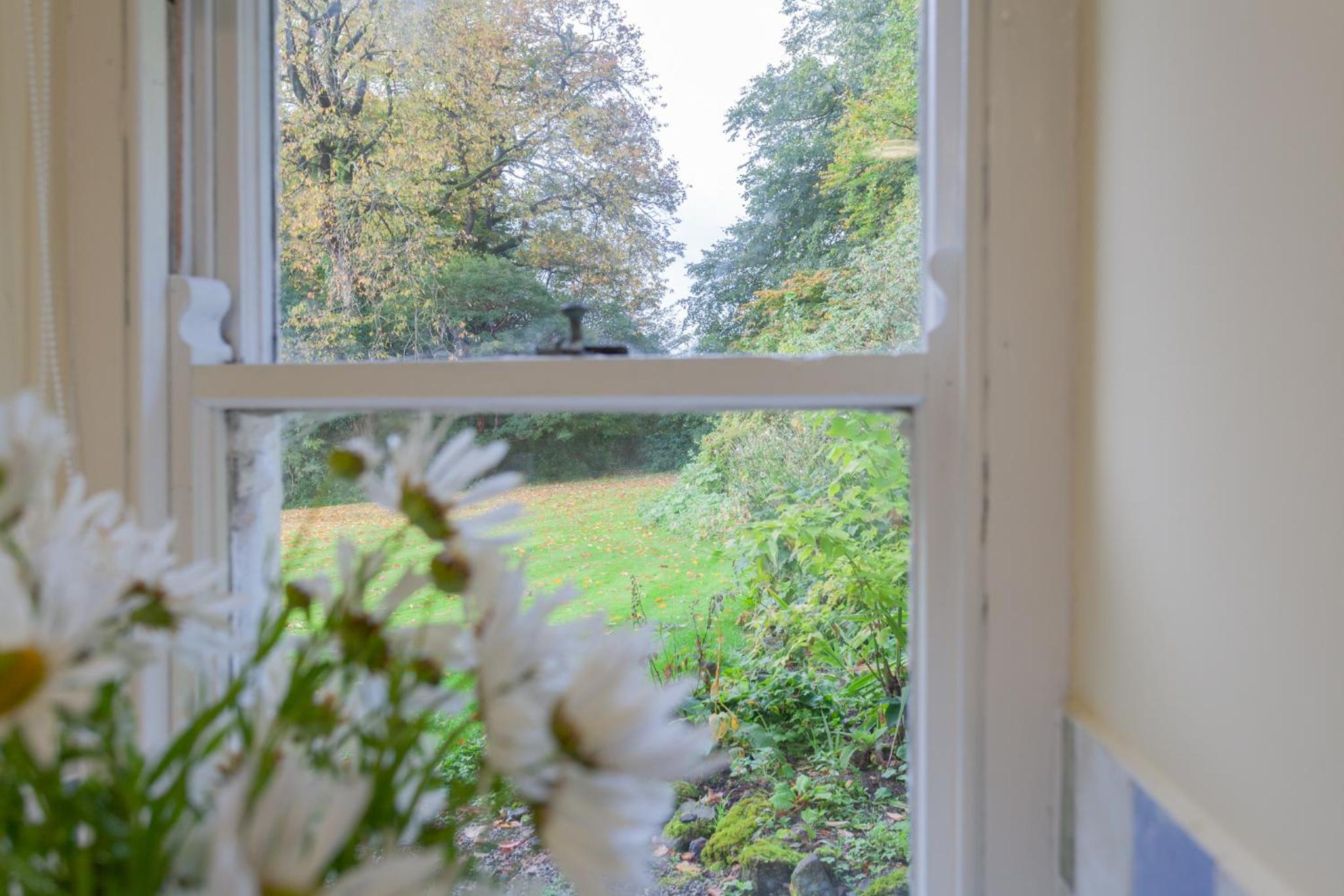Photo 59