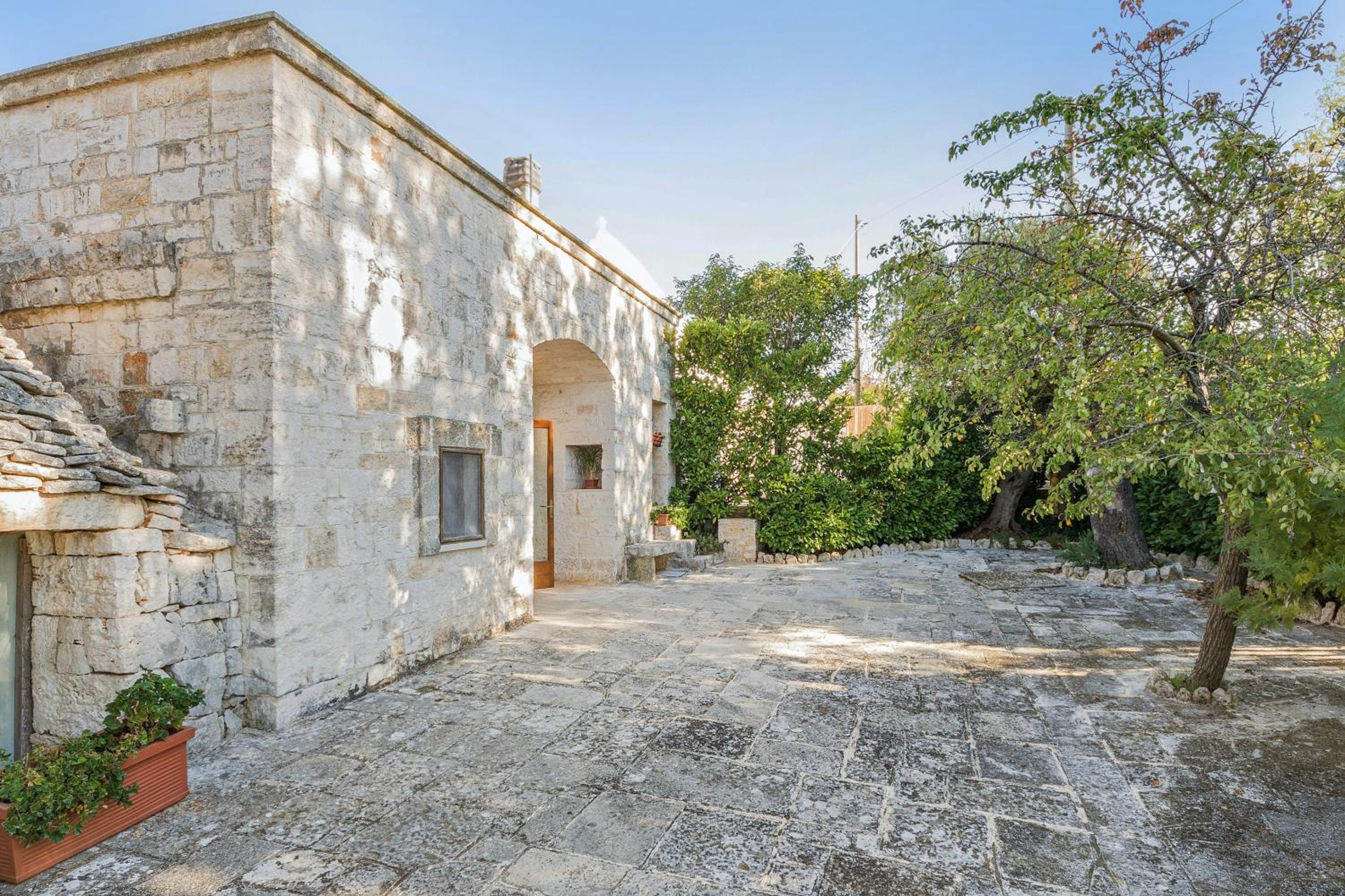 Charming house near Monopoli with terrace view 5