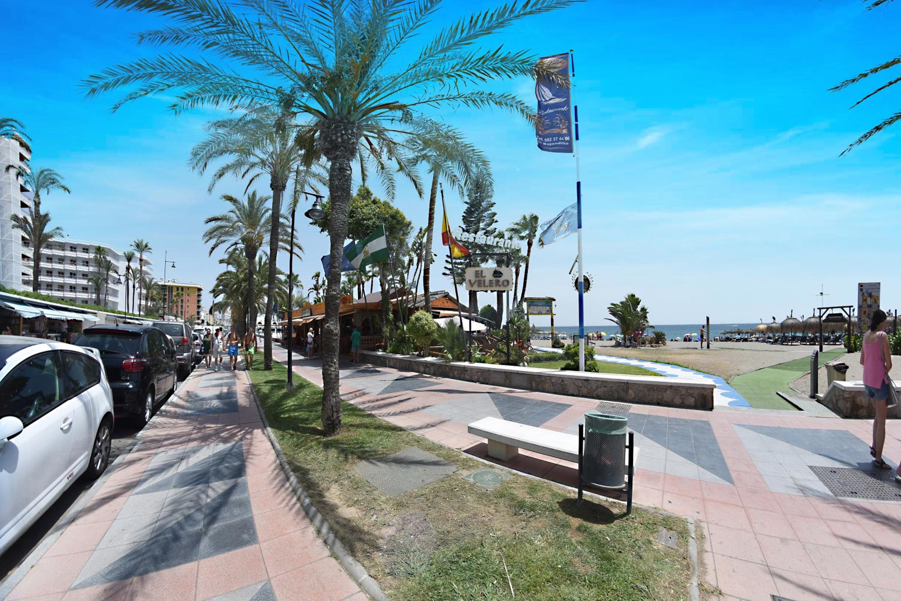 Zenplaya Bajo 3 view 4