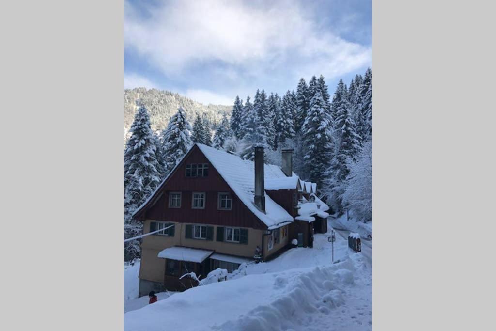 Wood Lodge