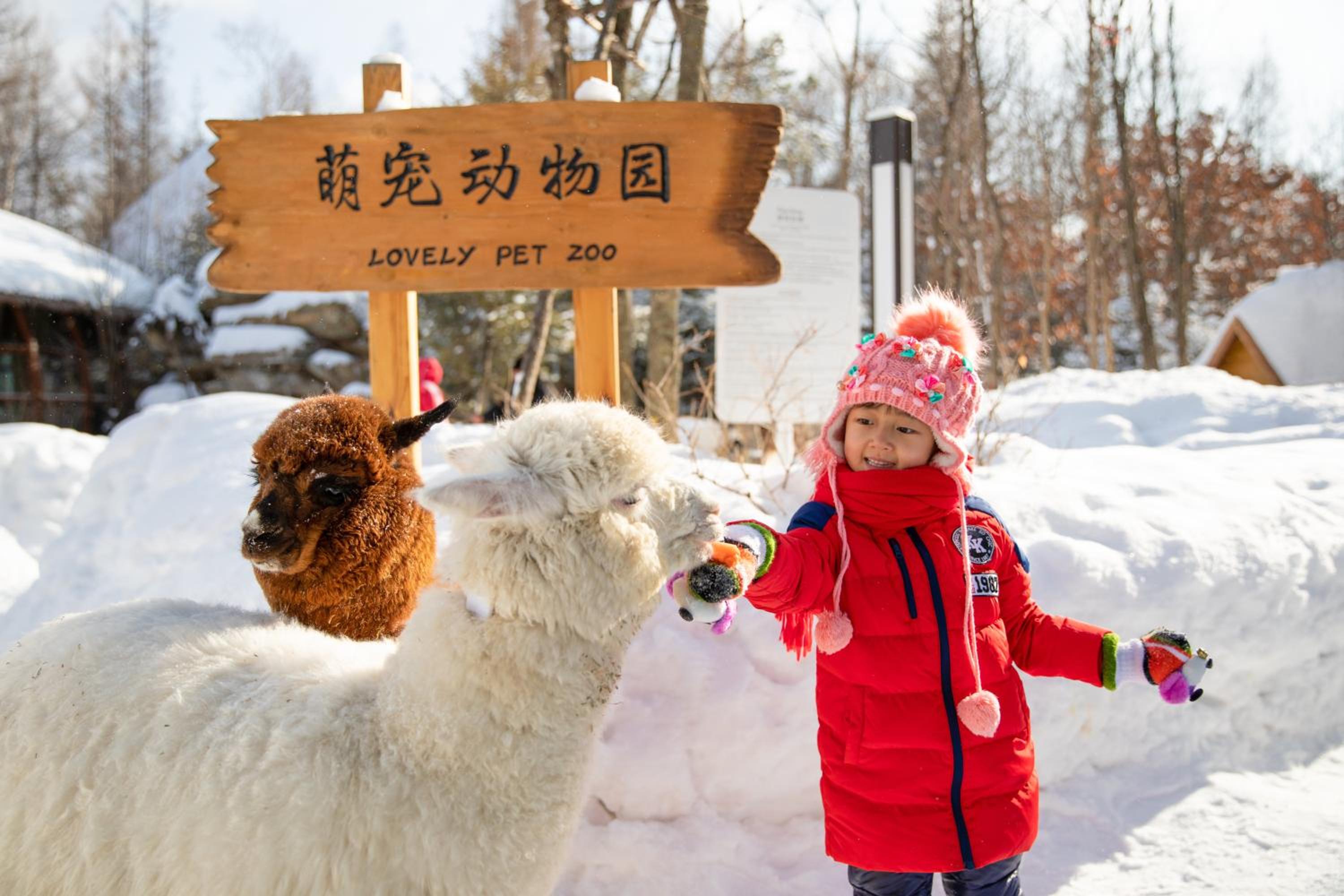 Crowne Plaza Resort Changbaishan Hot Spring by IHG