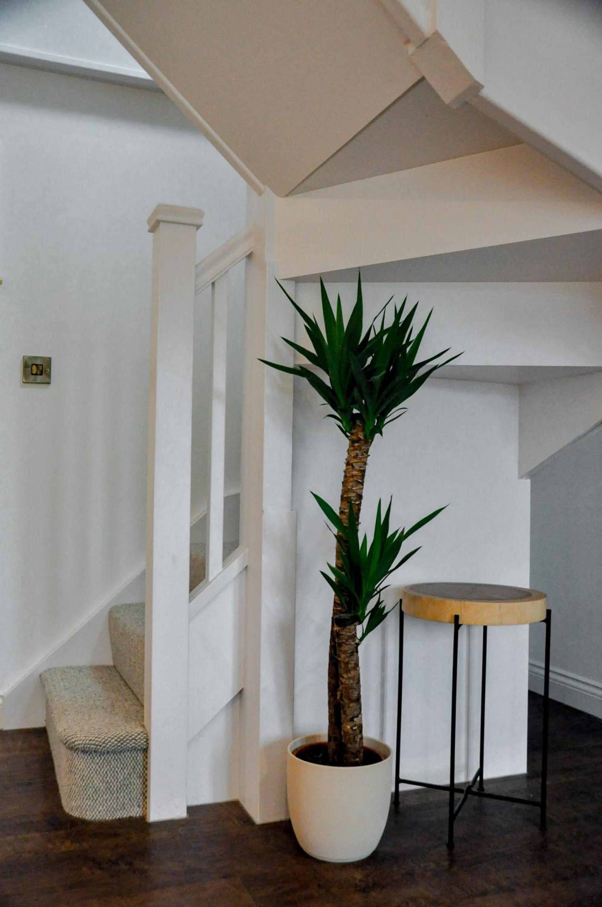 Worcester Vacations - Upstairs at 33 - Self check in boutique accommodation in Worcester Centre - Property Image 40