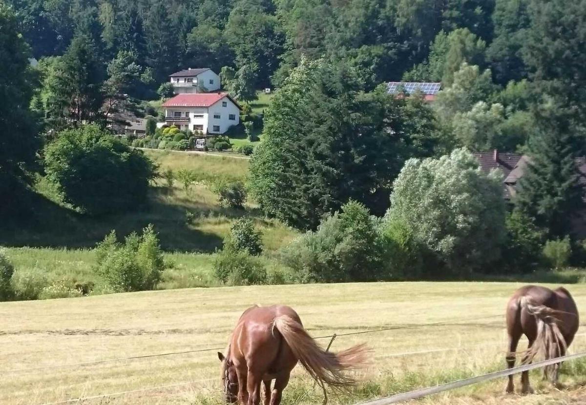 Ferienwohnung Patry