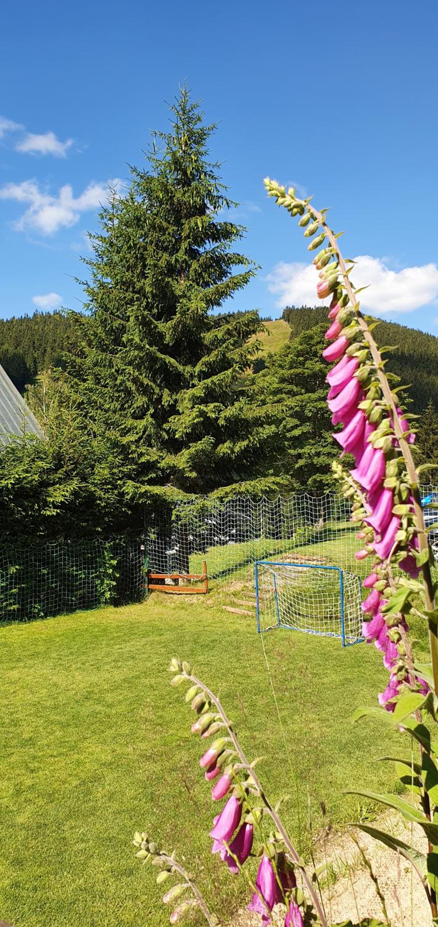 Pension Renata