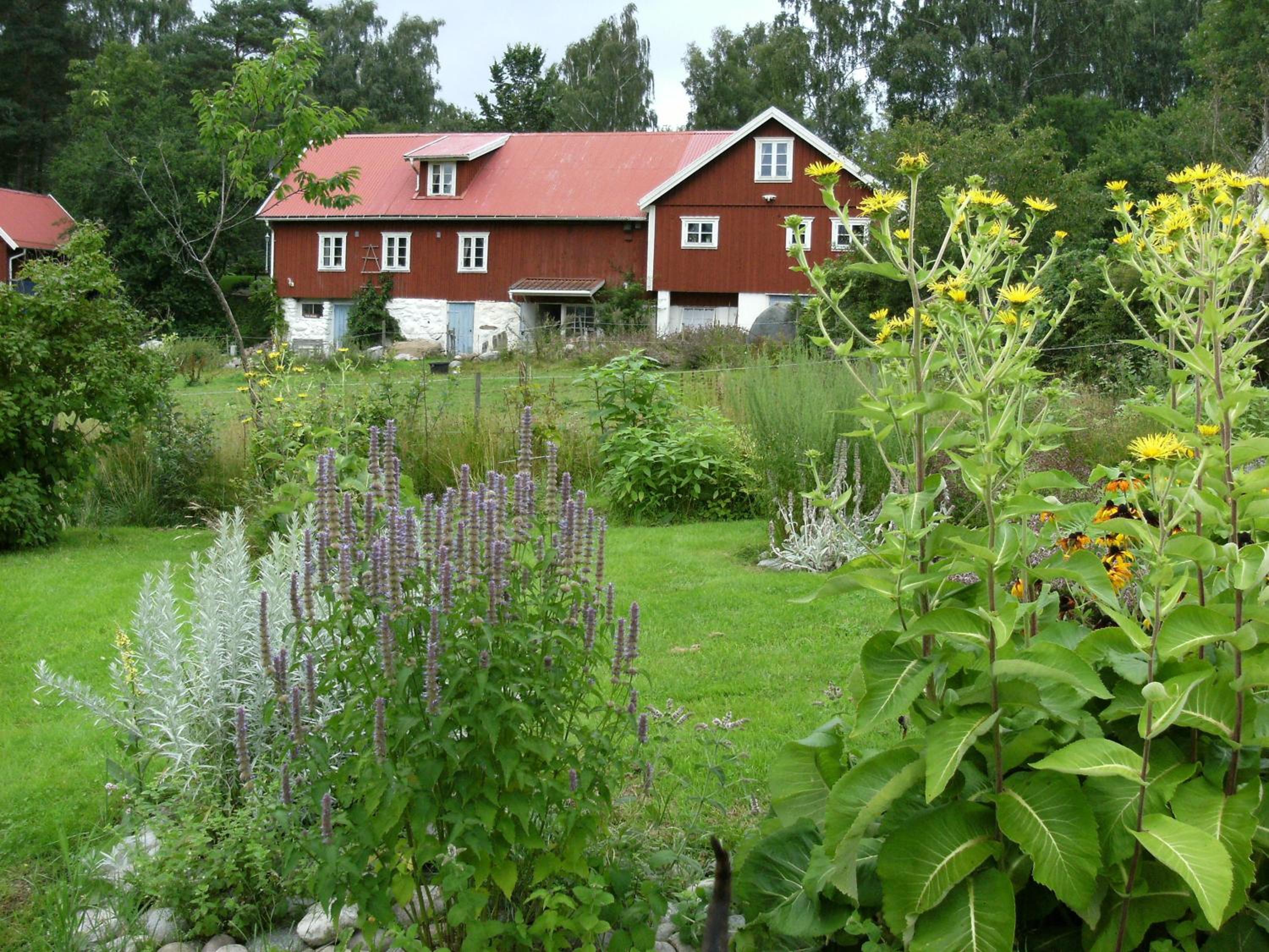 Photo 14