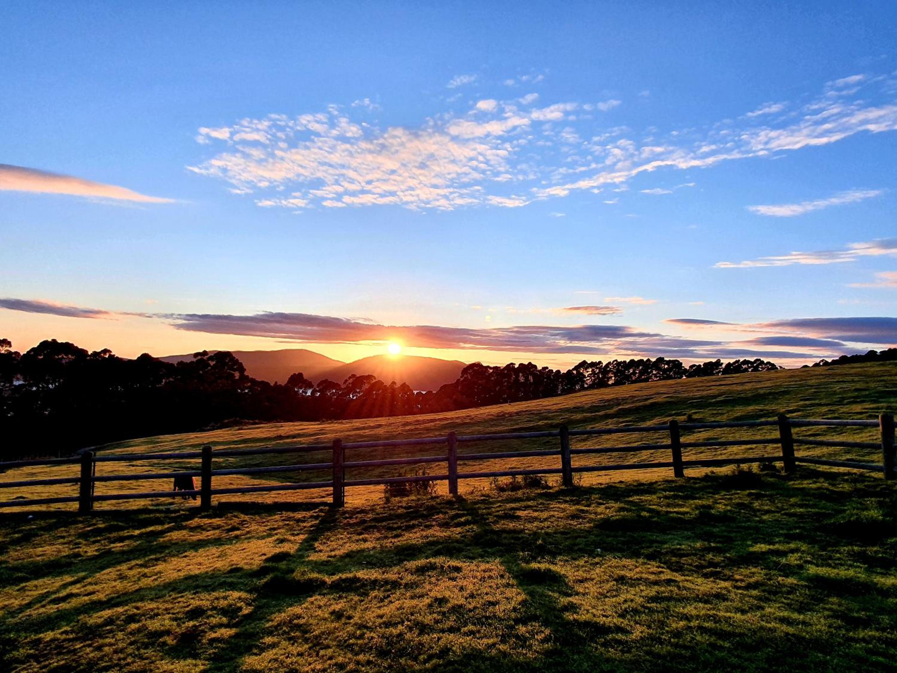 Ruby's Cottage Farm Stay