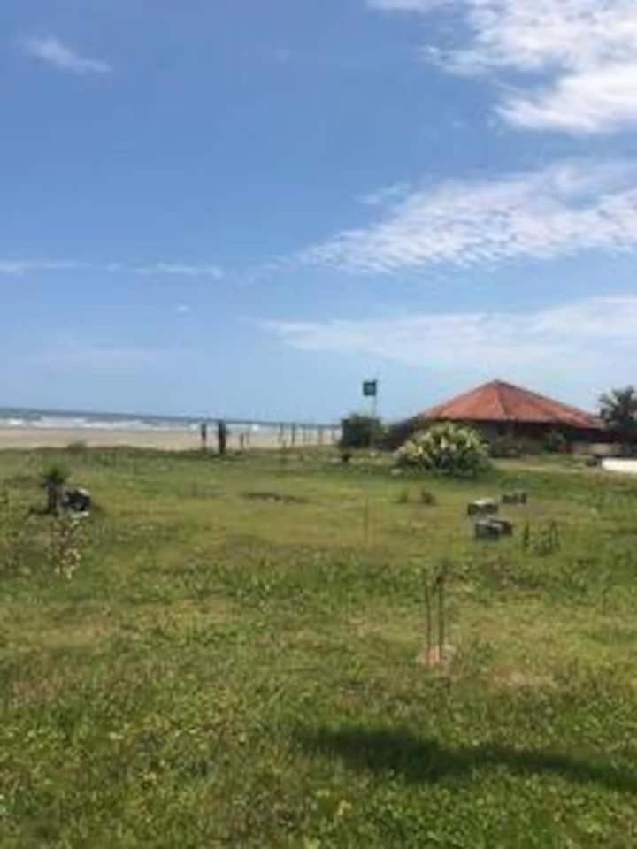 Pé na areia gaivotas com Wi-Fi