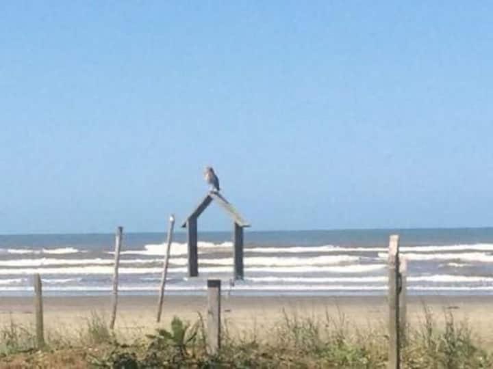 Pé na areia gaivotas com Wi-Fi