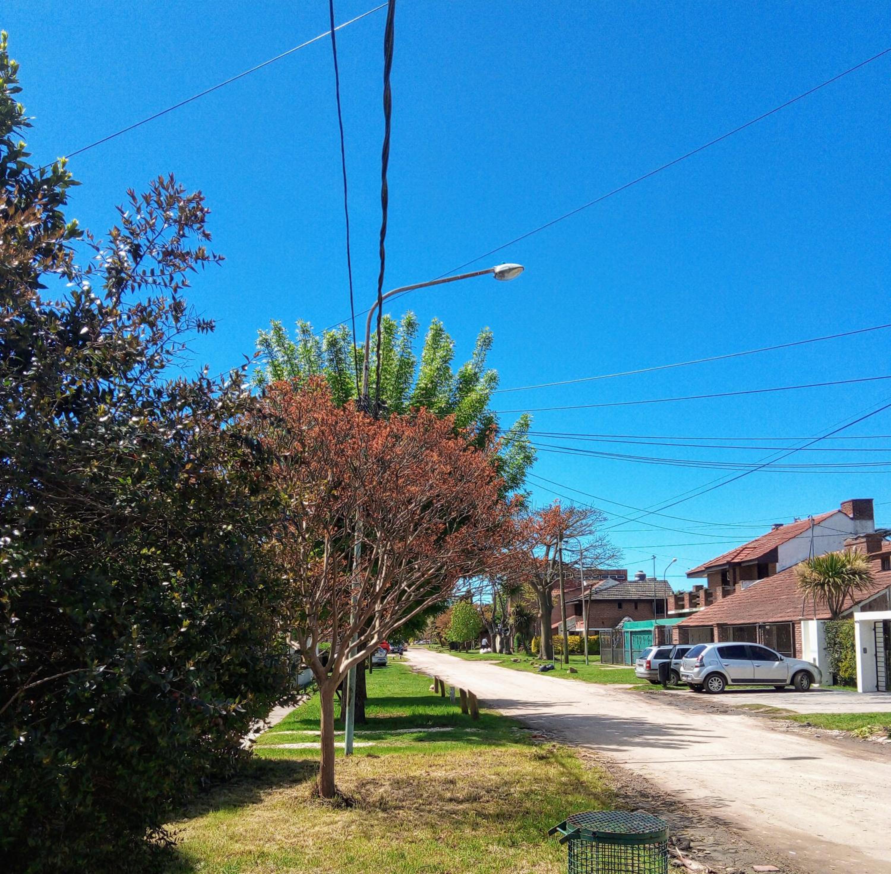 Chalet Caserón de Tejas, Amplia y confortable casa para hasta 11 huéspedes