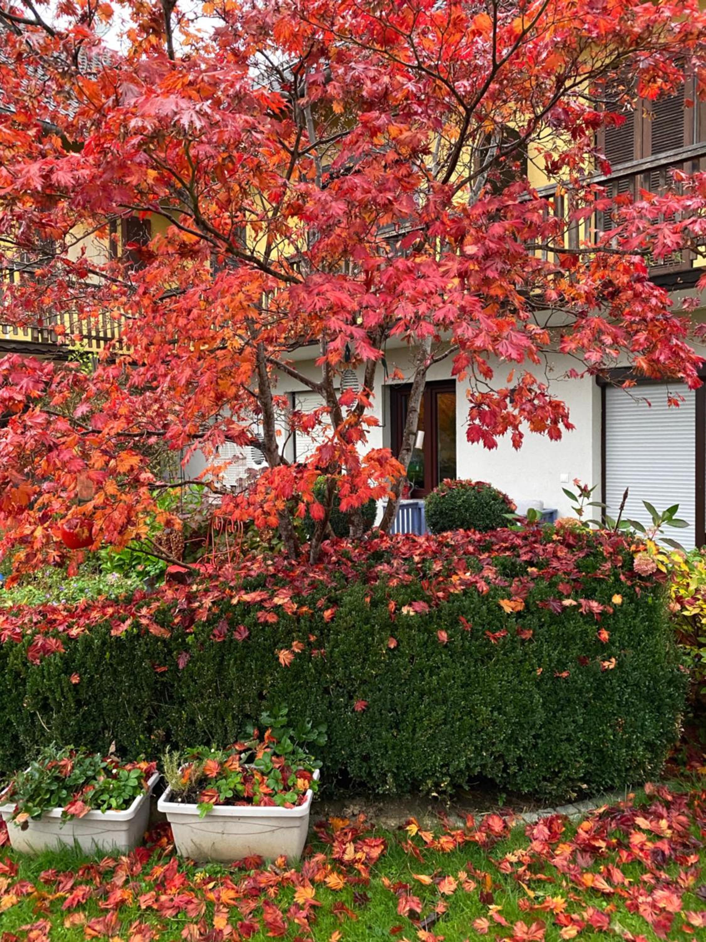 Landhaus GRETE