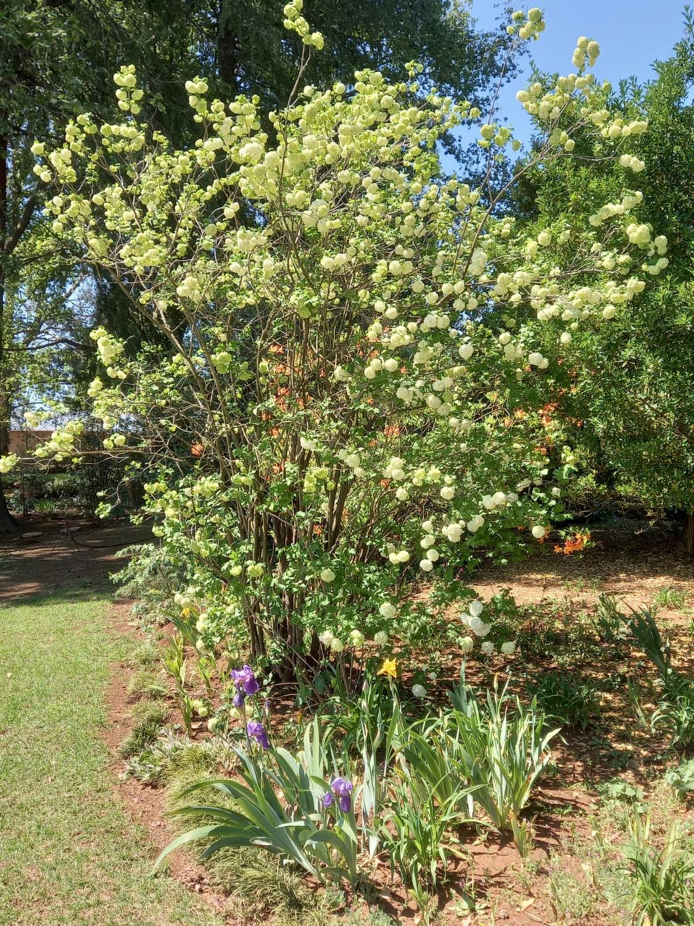 Photo 21